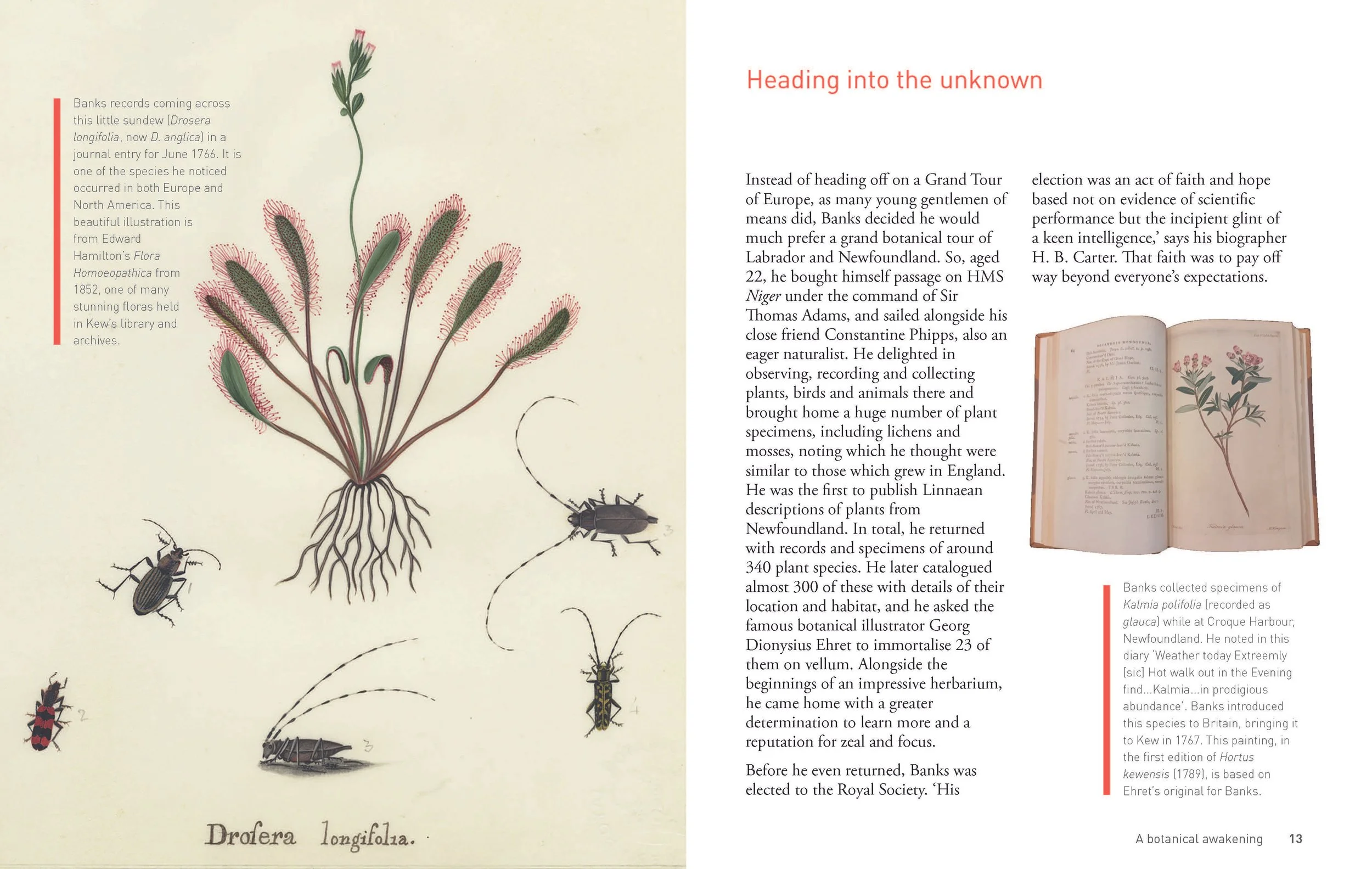 Botanical Adventures of Joseph Banks_18may_Page_07.jpg