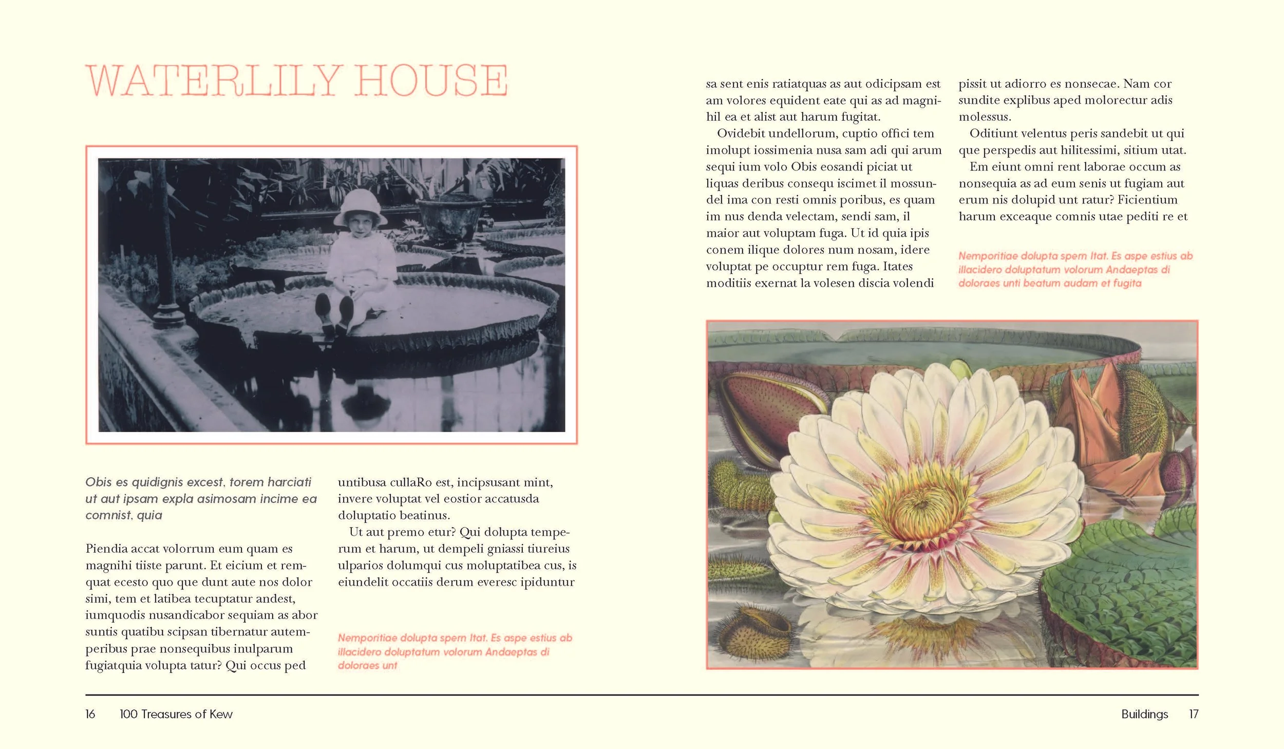 100_Treasures_of_Kew_13mar copy_Page_08.jpg