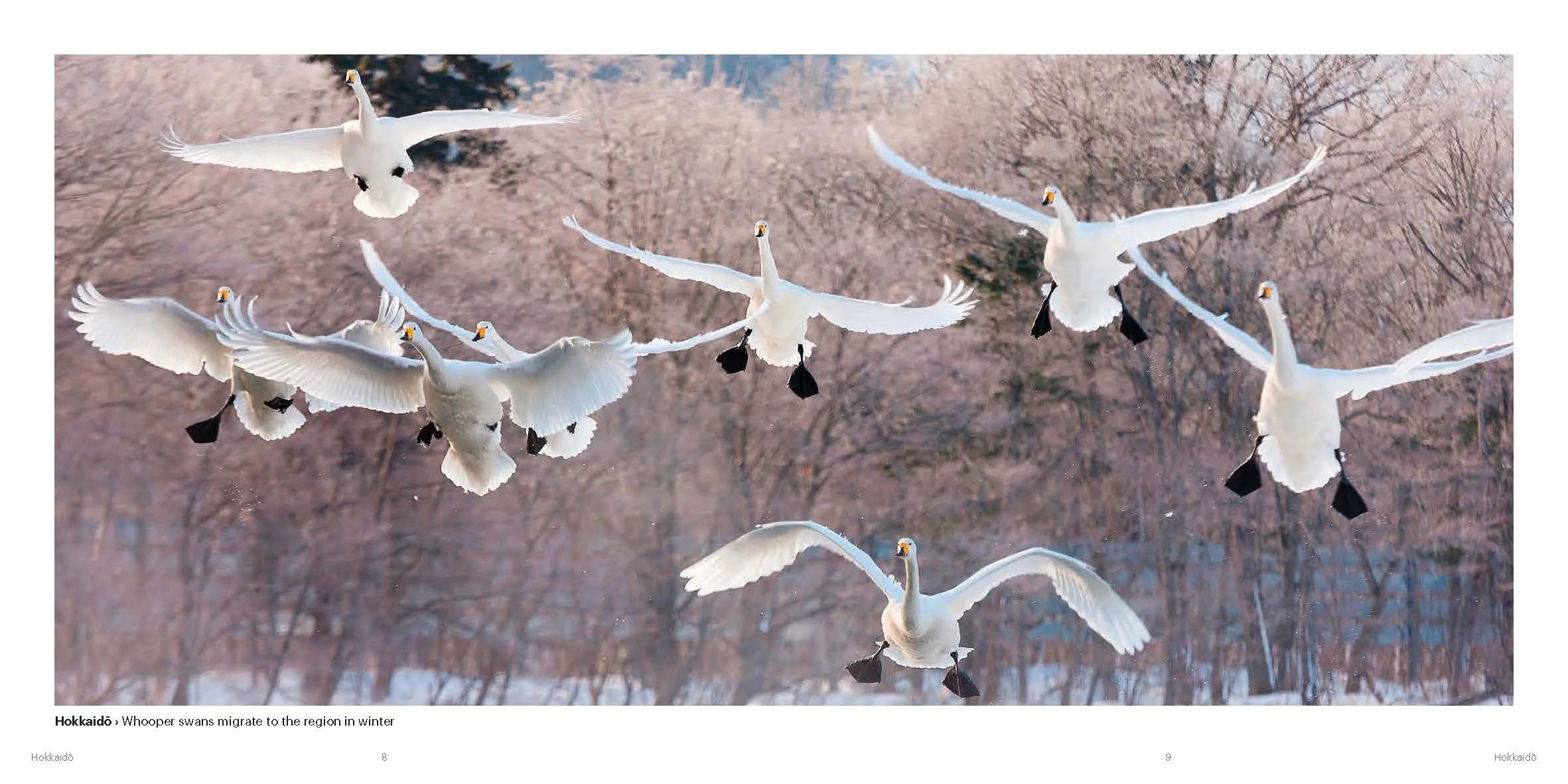 BW Japan complete Lo RES_Page_007.jpg