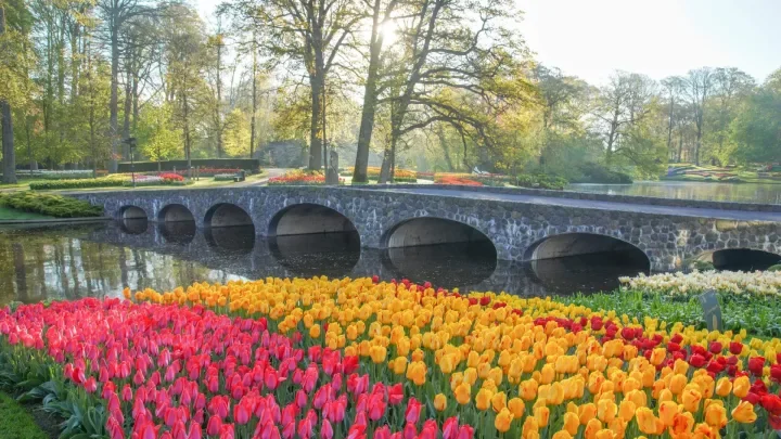 keukenhof 2.webp