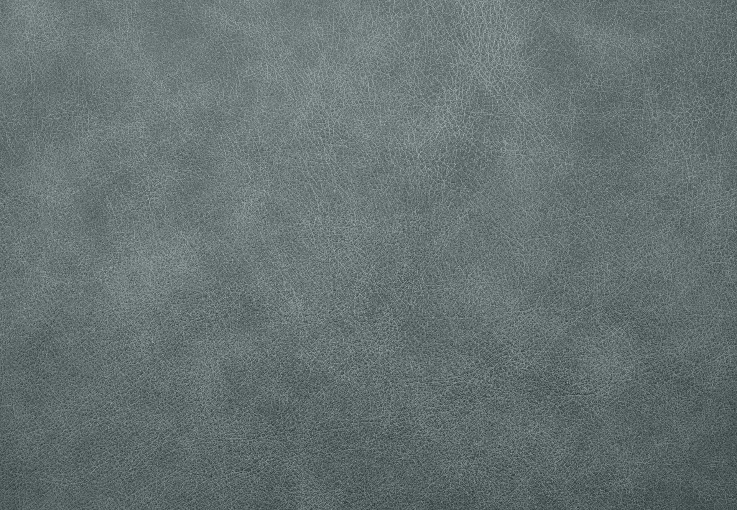 Whistler Leather Lehua - Sea Turtle