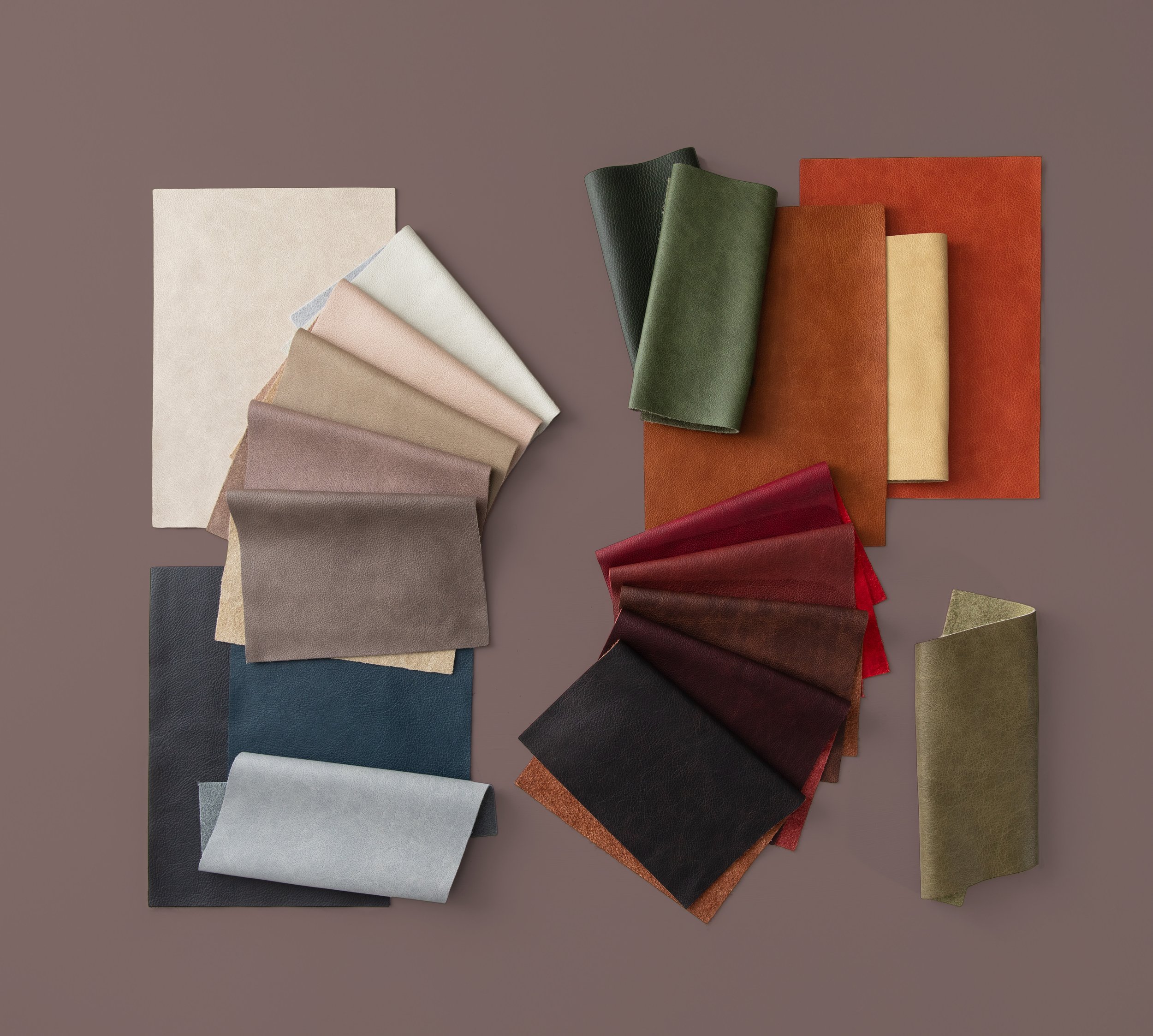 Large group shots 25 Husk.jpg