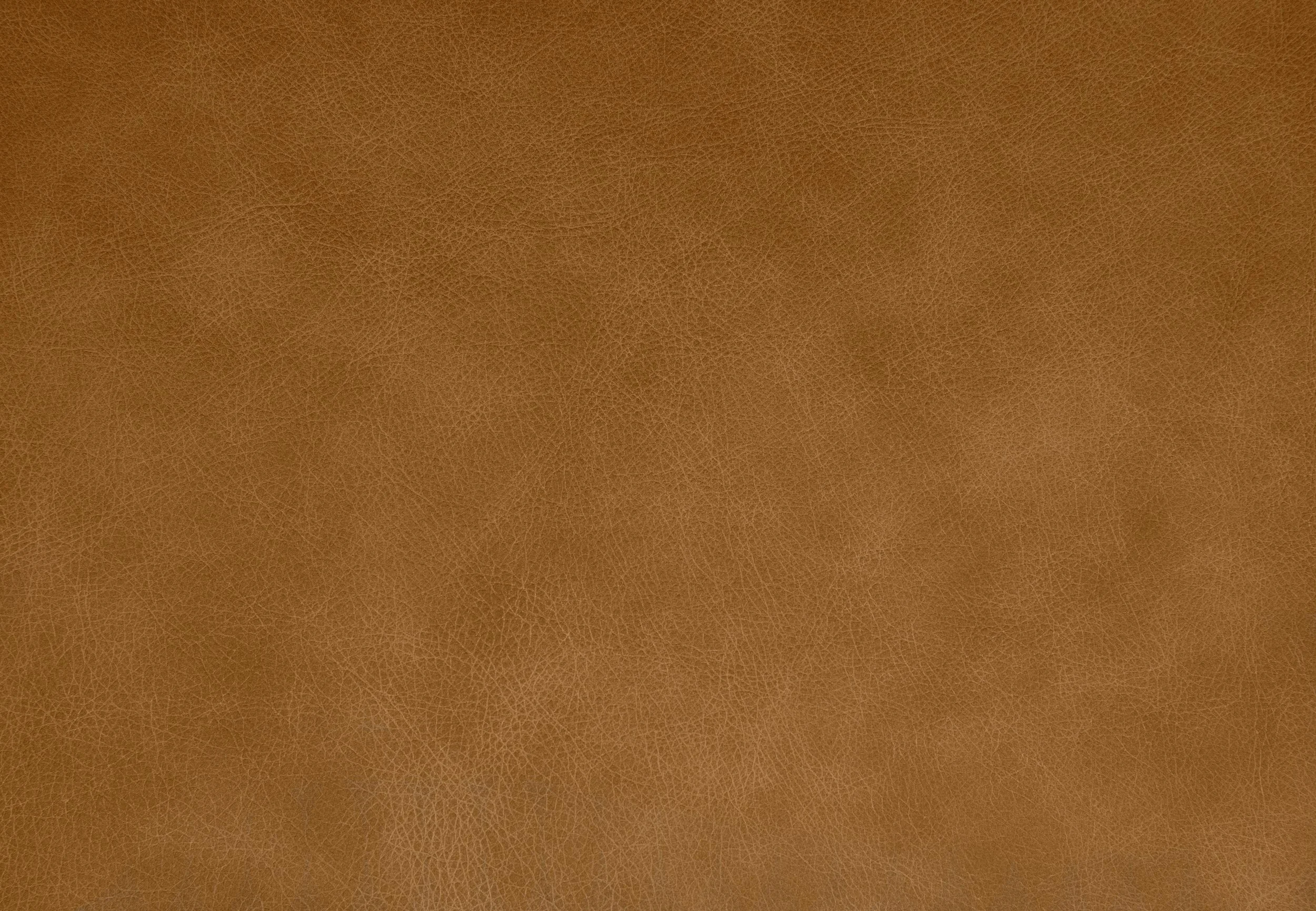 Whistler Leather Lehua - Yolk