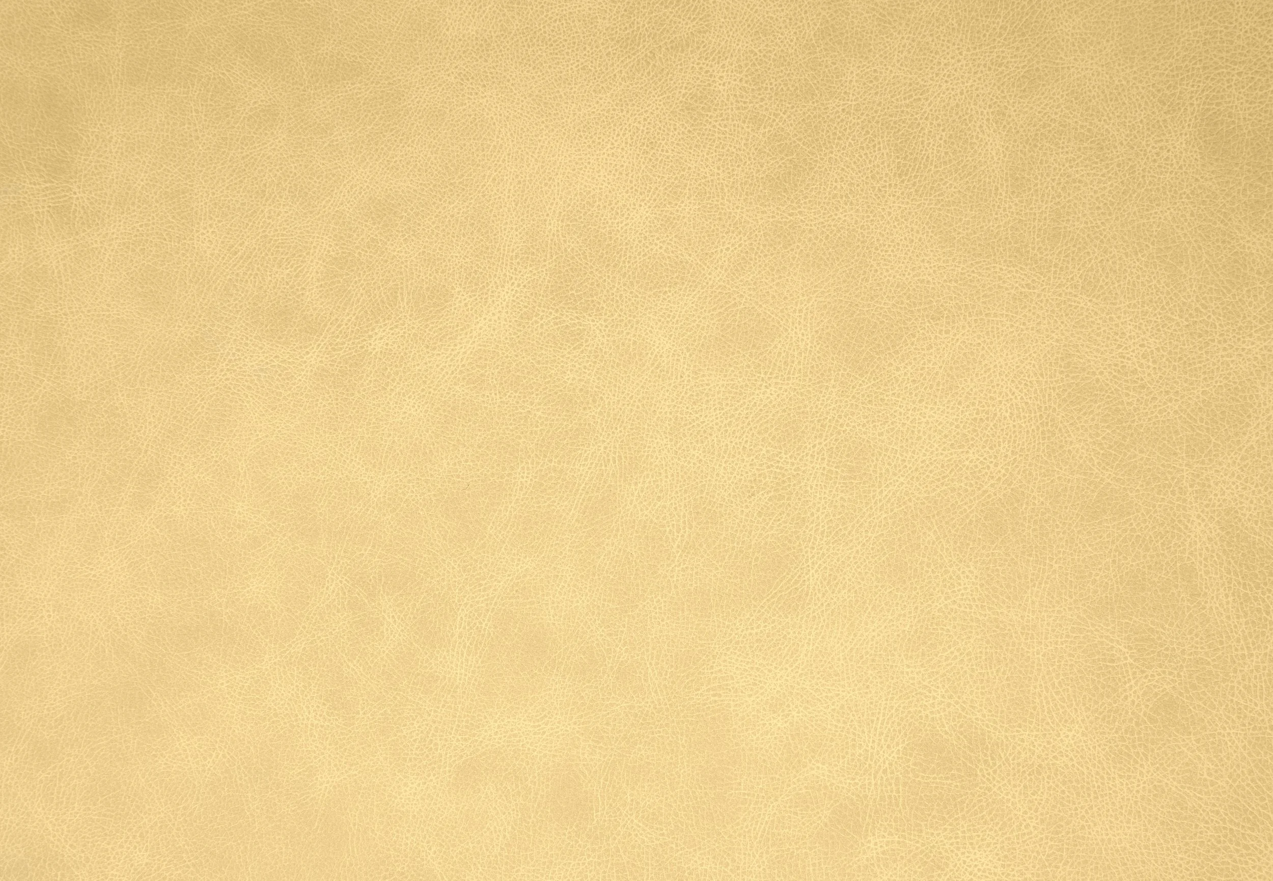 Whistler Leather Lehua - Pineapple Skin