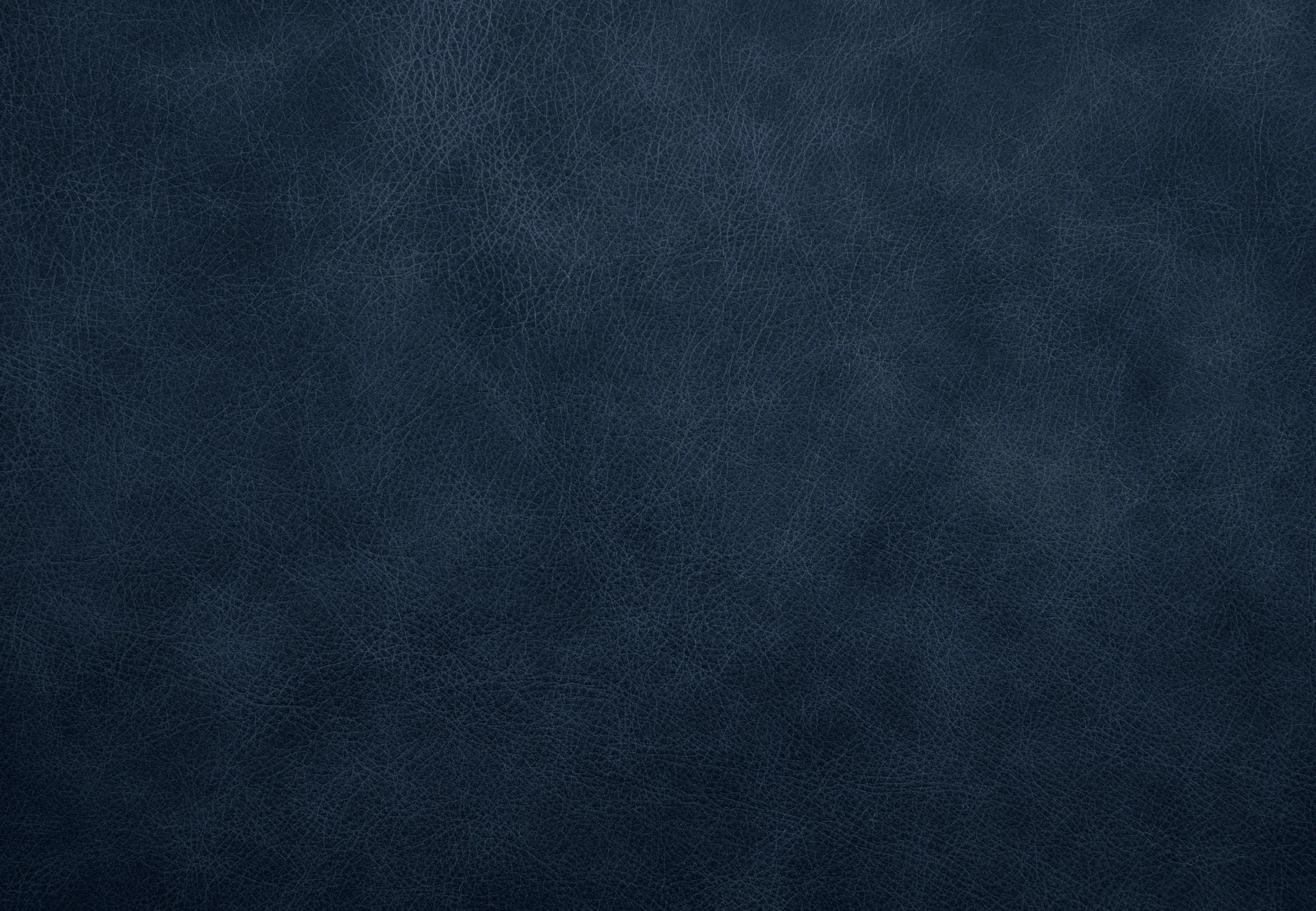 Whistler Leather Lehua - Voyager Star