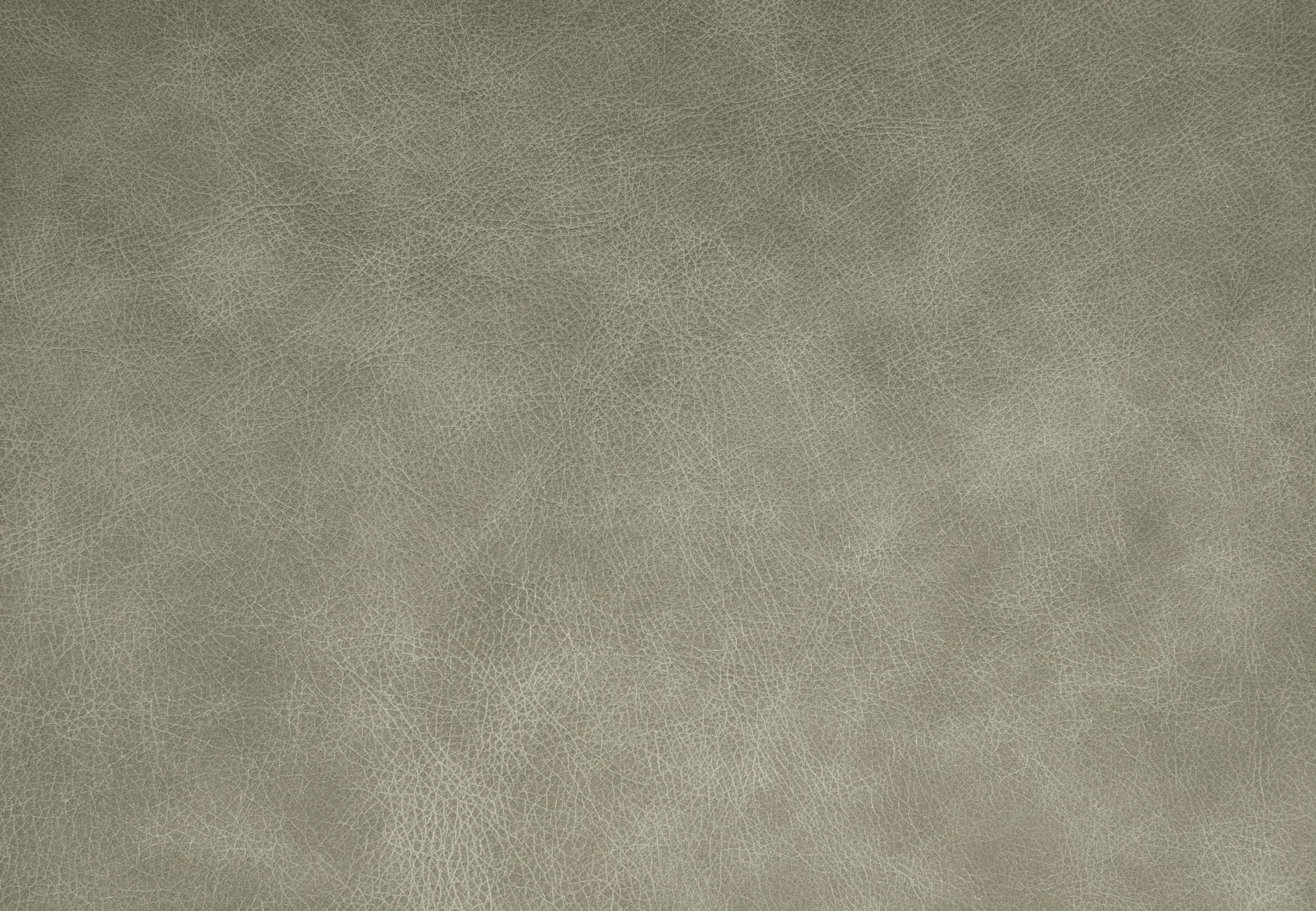 Whistler Leather Lehua - Kalo