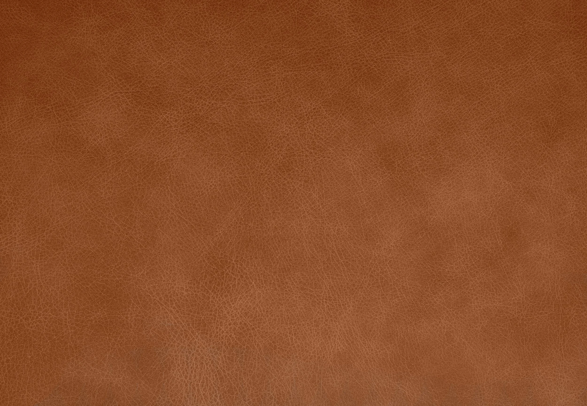 Whistler Leather Lehua - Mask