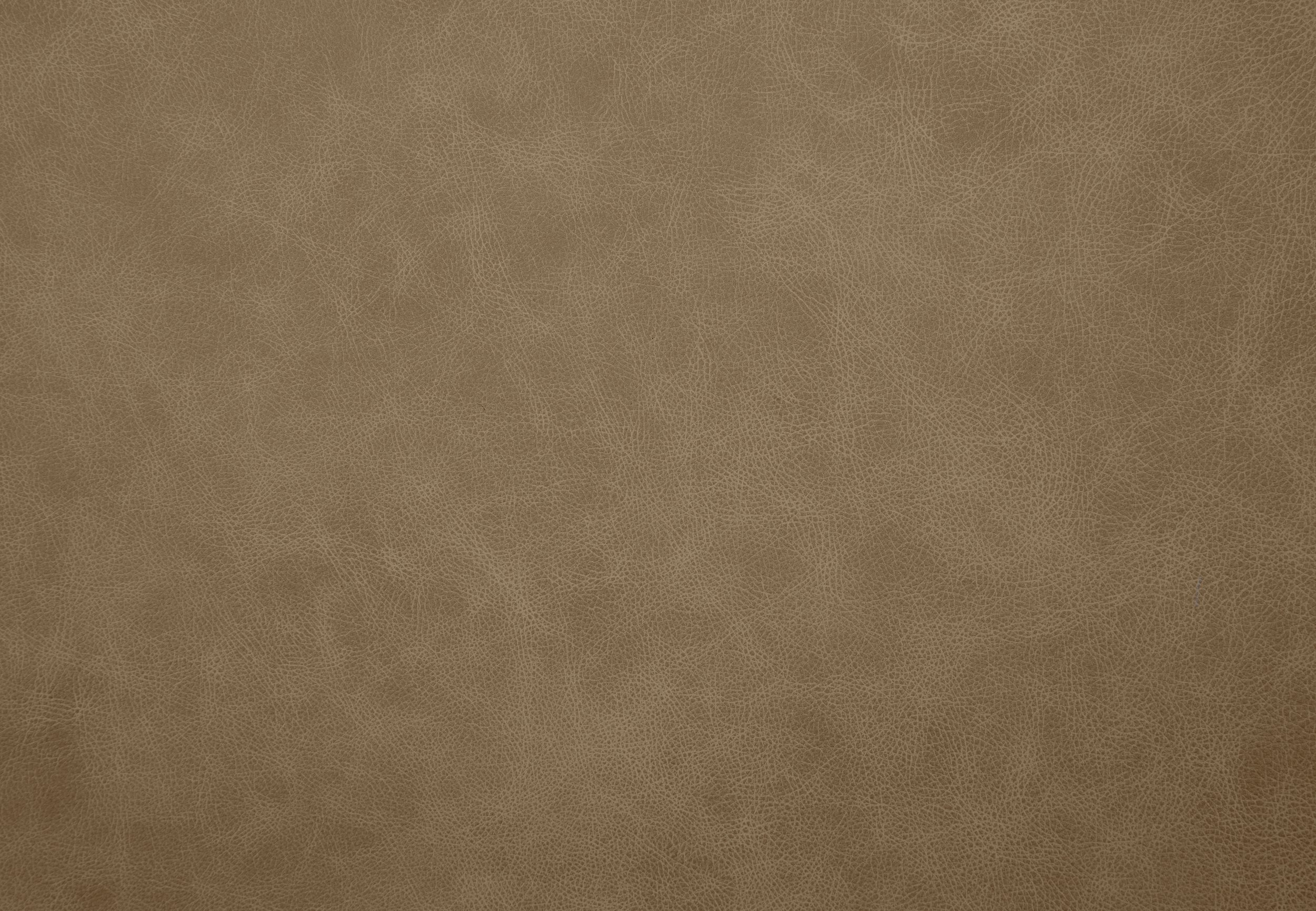 Whistler Leather Lehua - Pukka Shell