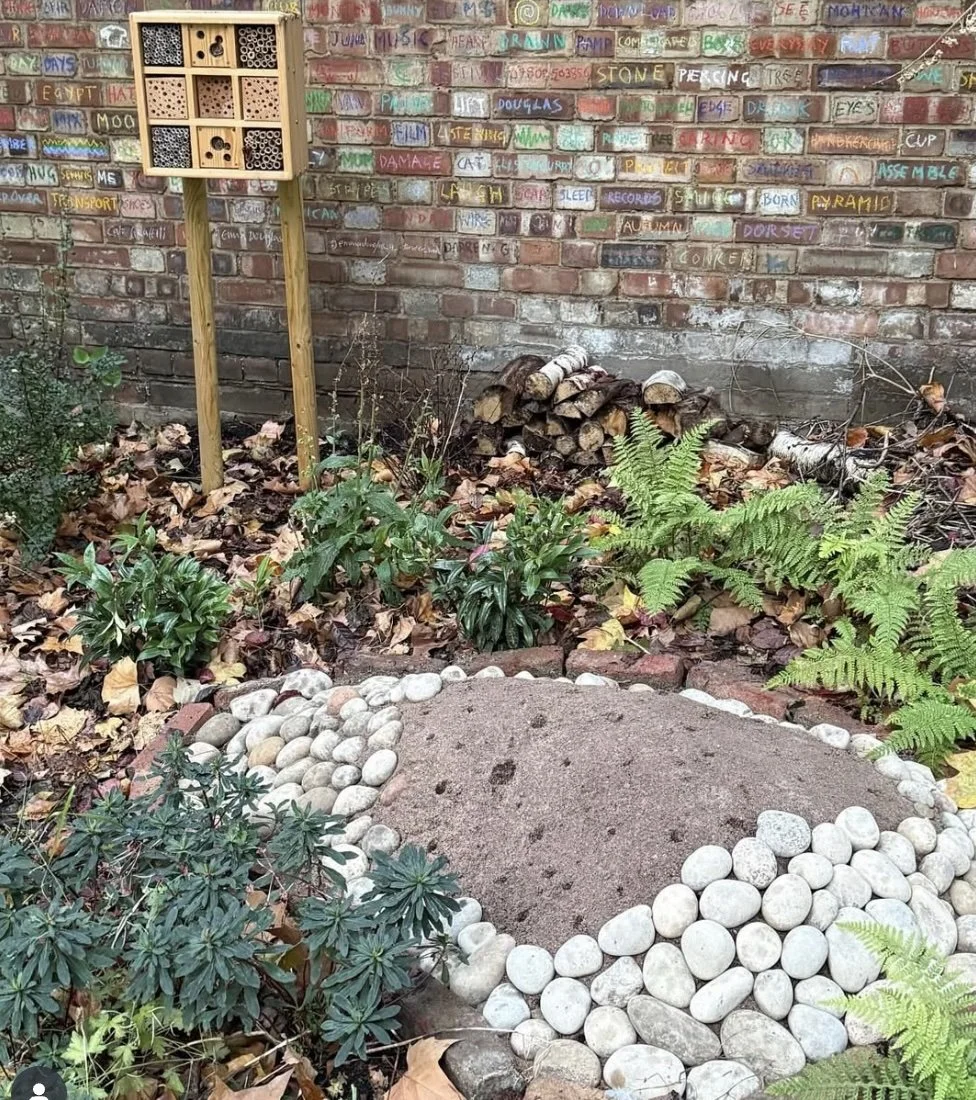 November News From The Garden