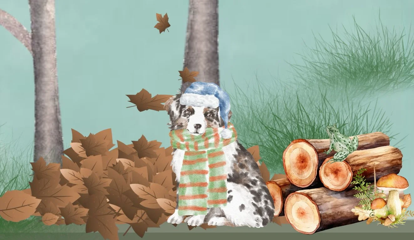 Winter Events Calendar