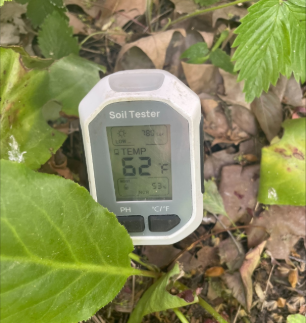 Soil Testing in St John’s Garden