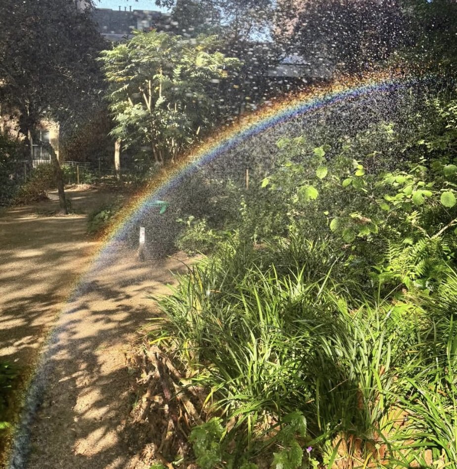 June News from the Garden
