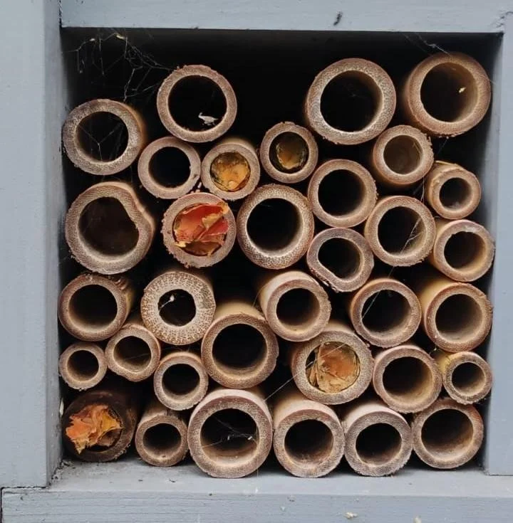 Can Bee Hotels Help in Clerkenwell?