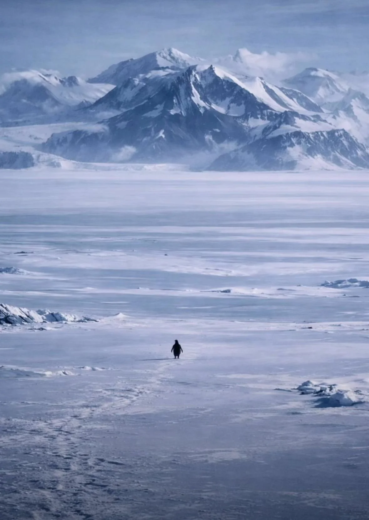 The Paradox Psychology in the Process of Ski Racing