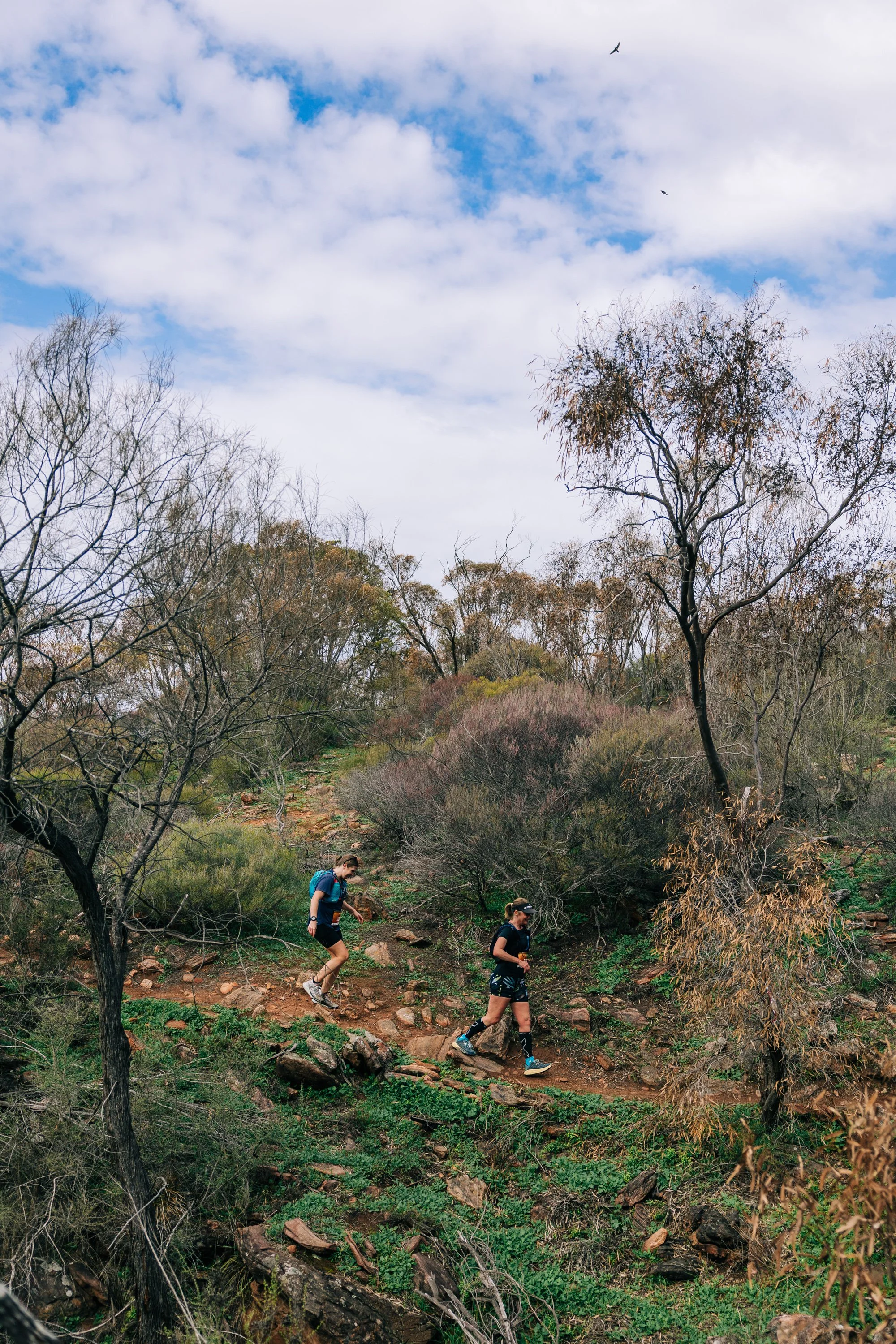 2025-FederationUltraTrail-nonwm-410.jpg