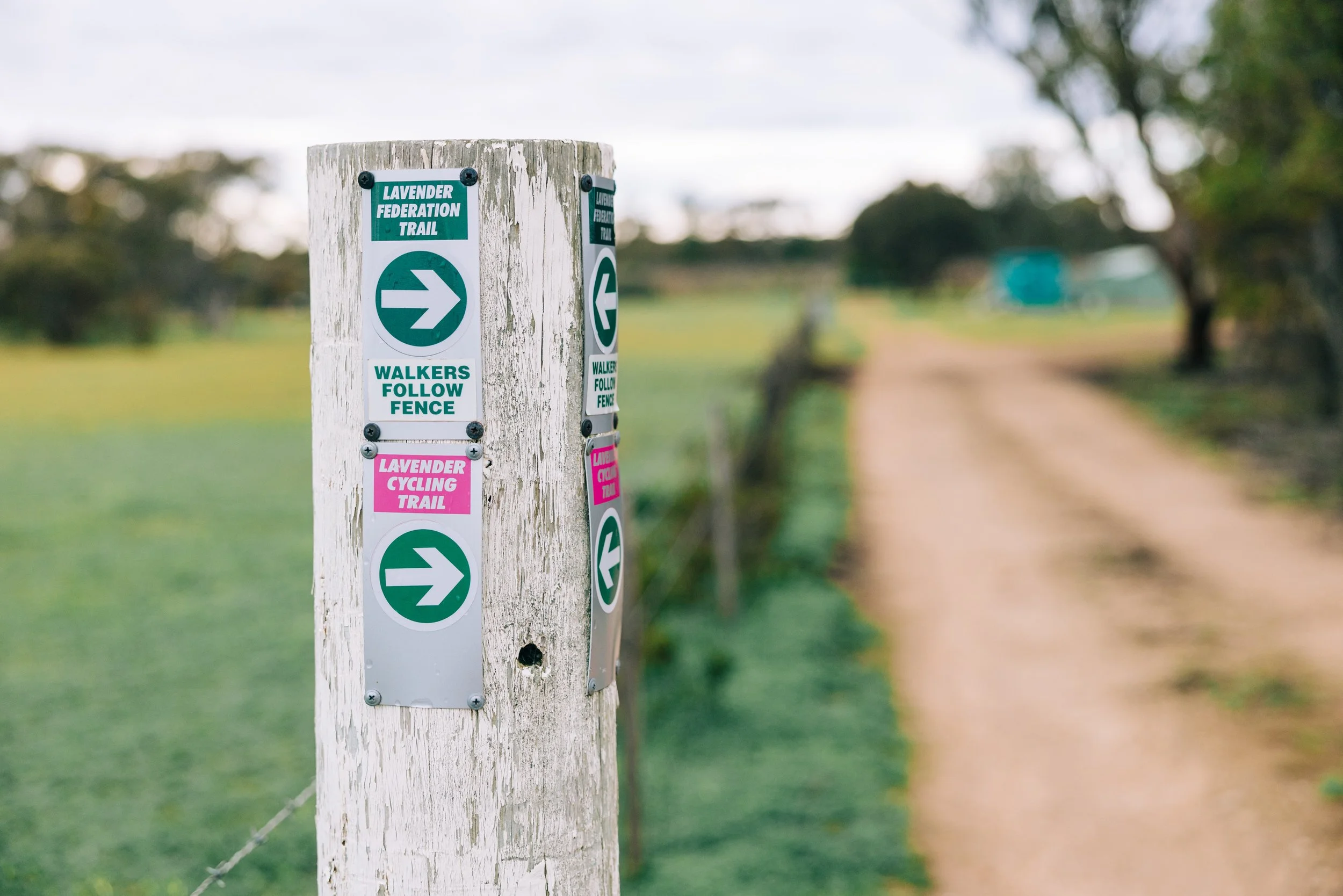 Signpost on a trail indicating directions for Lavender Federation Trail and Lavender Cycling Trail, with a dirt path and green landscape in the background.