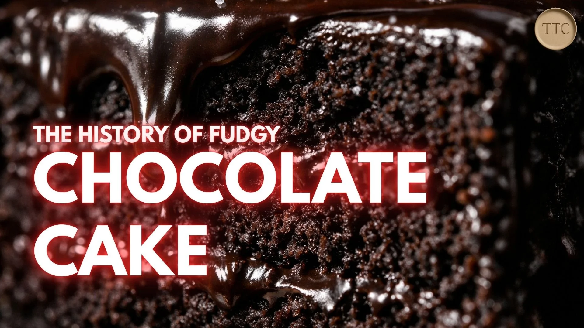 (Fudgy) Chocolate Cake - Chocolate Learned to Melt