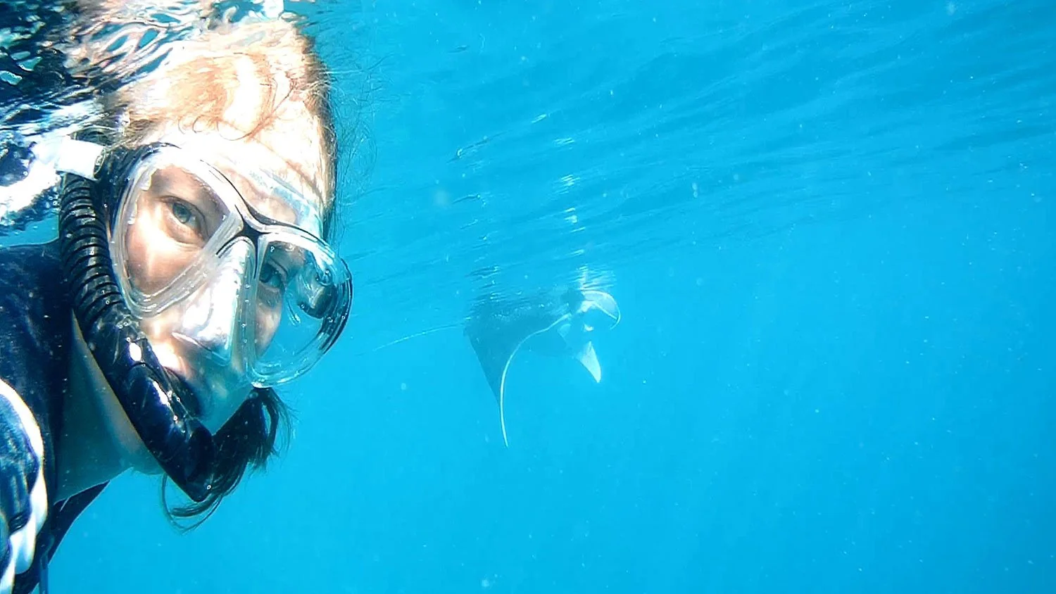 Capturing Mantas on the Maldives