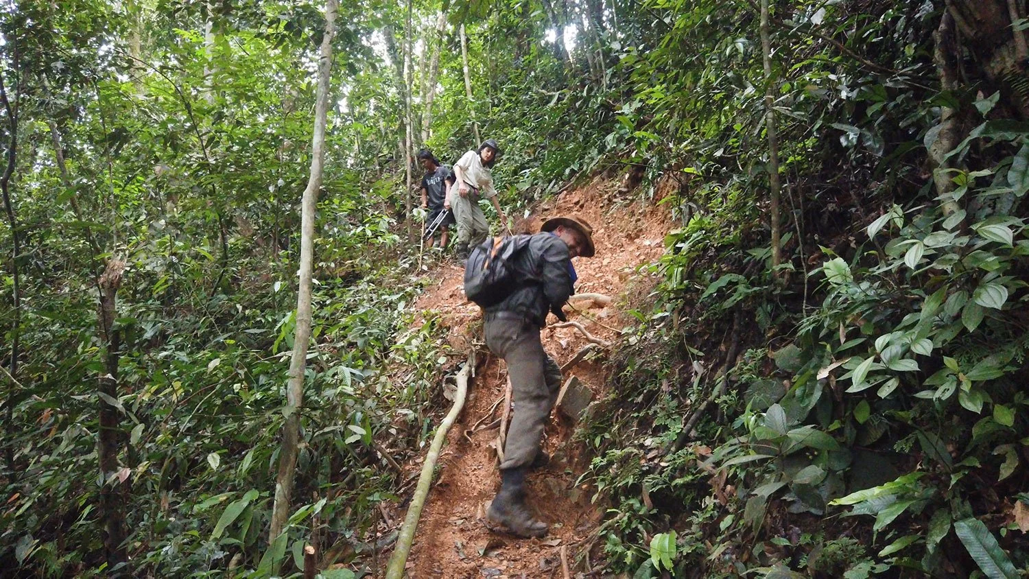 Another day at the office in Sumatra