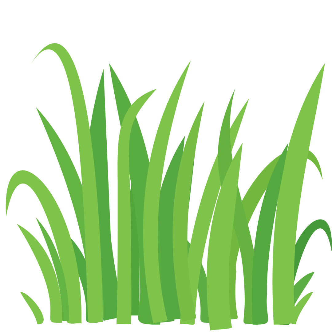 Illustration of green grass blades on a black background.