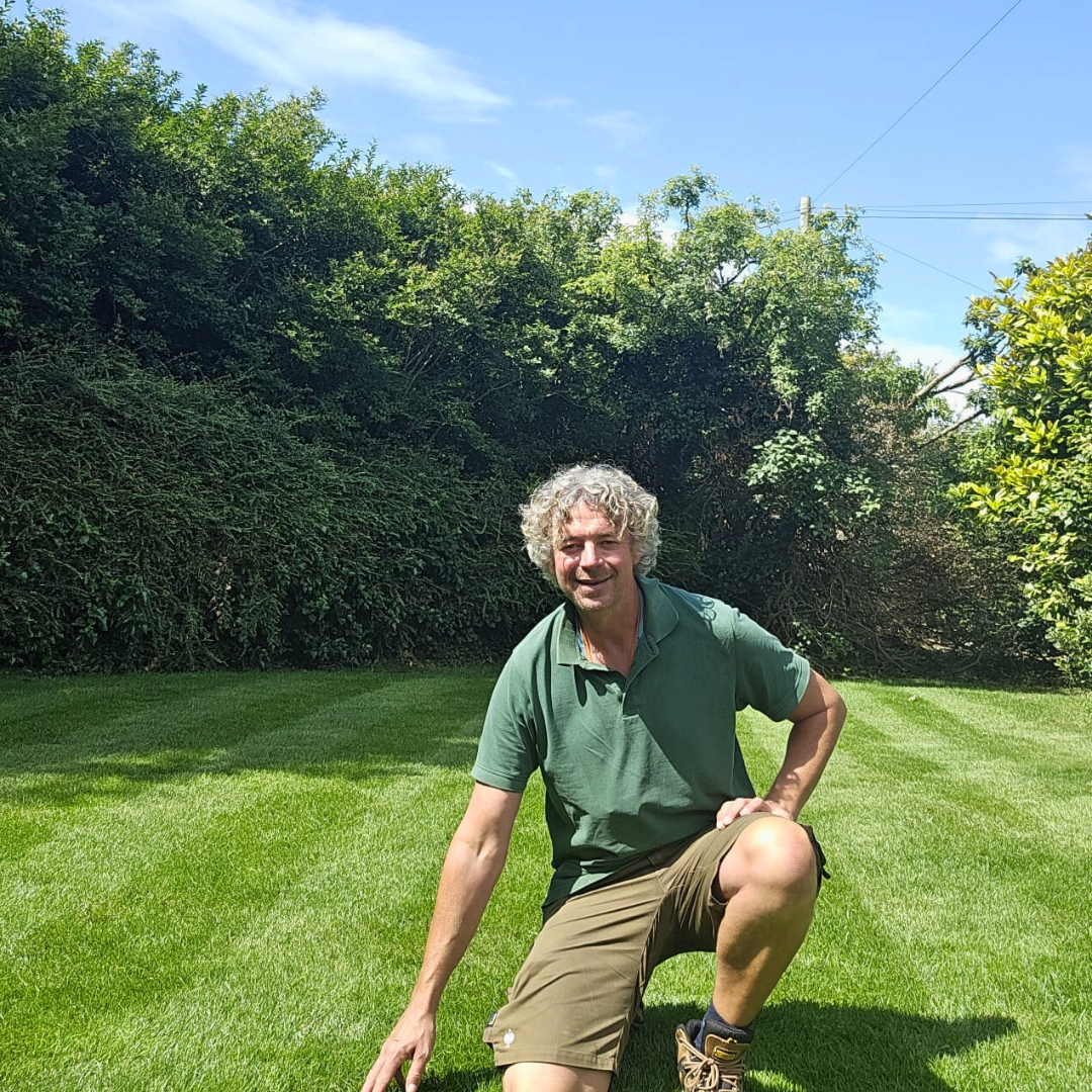 Adrian Green Green Grass