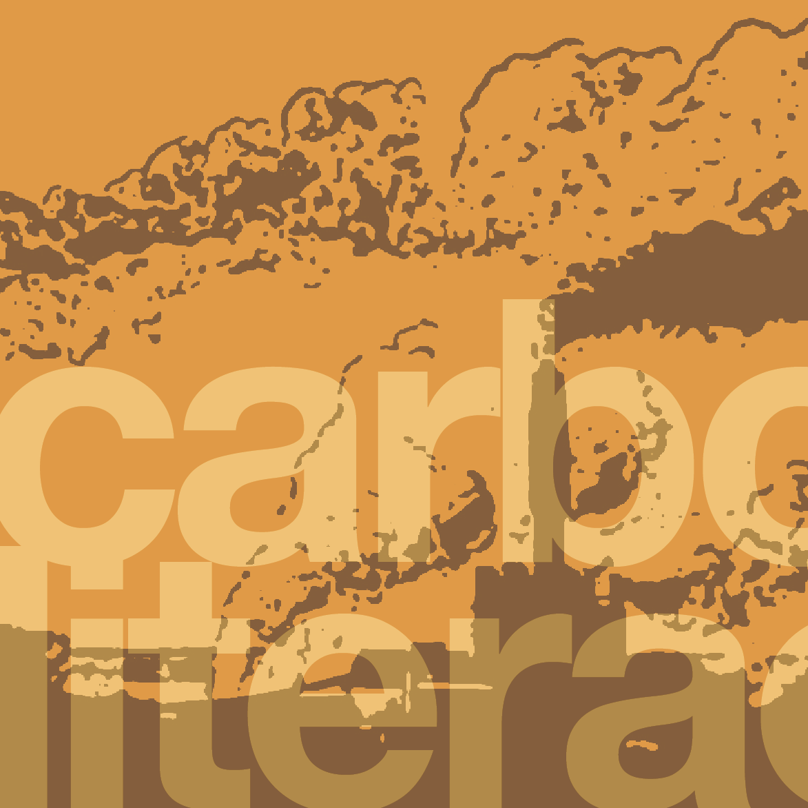 Carbon Literacy workshop
