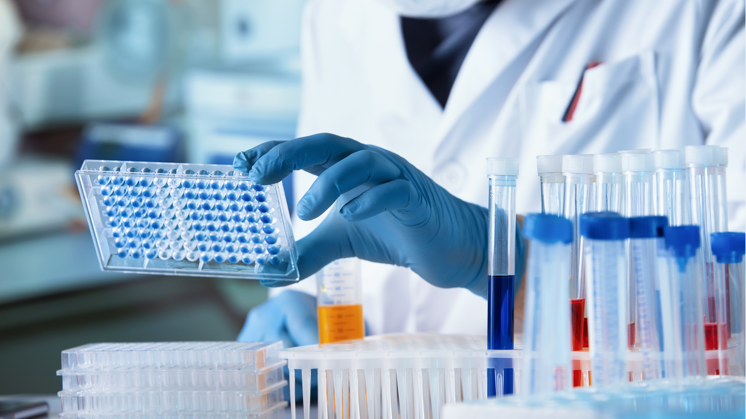 AntoxenLab