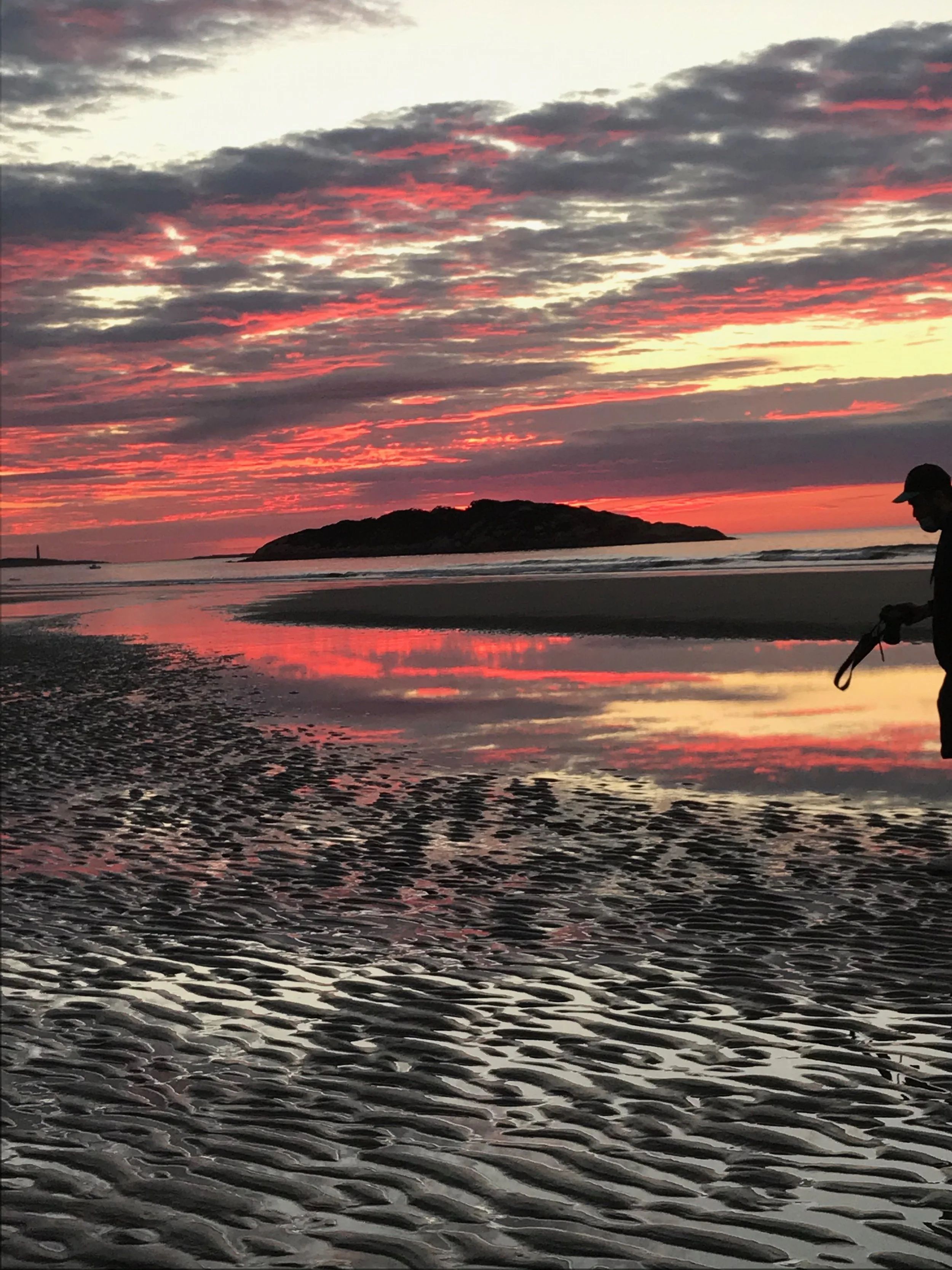 Finding Harmony in the Moment