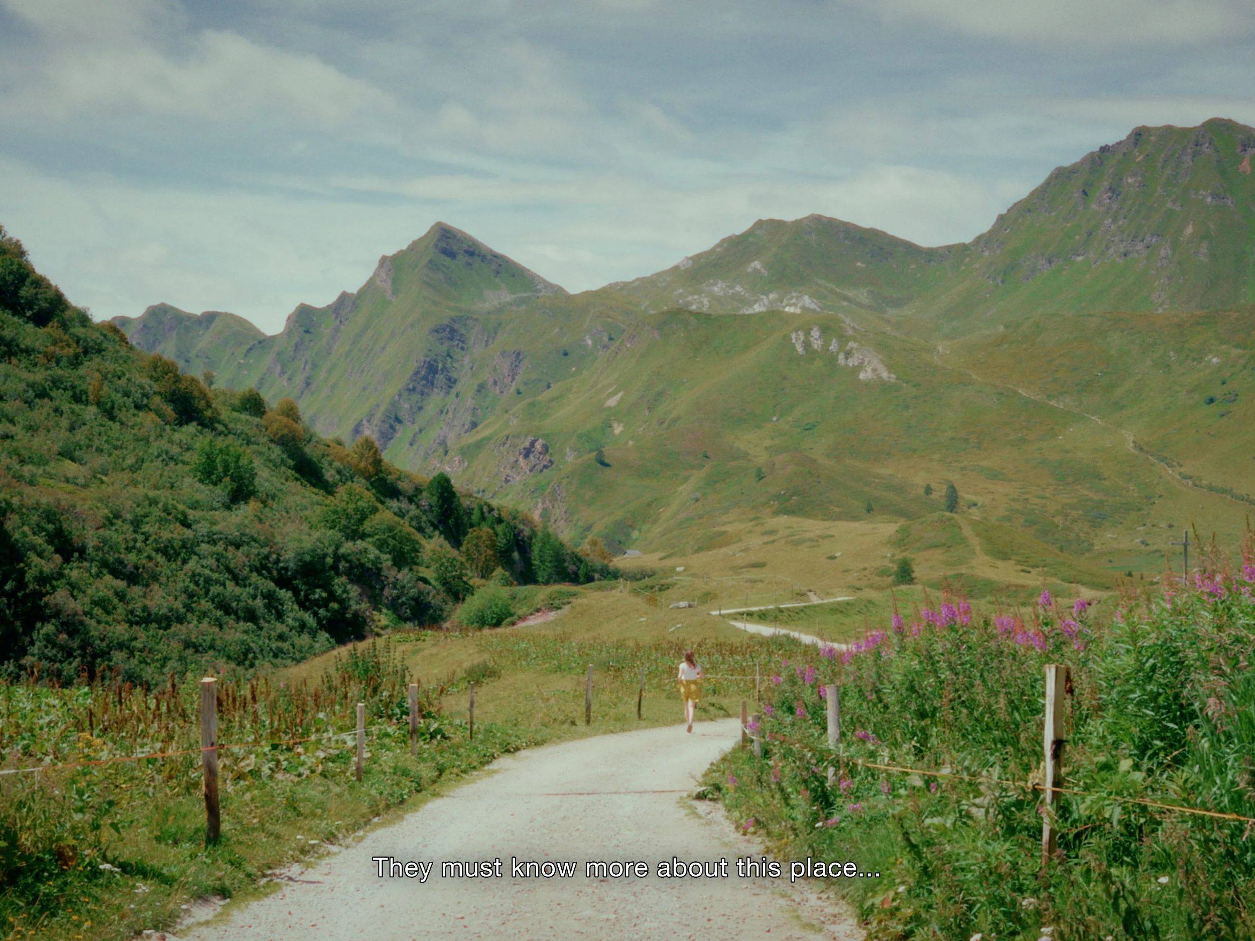 the-mountains-and-me-vera-aalbers-8.jpg