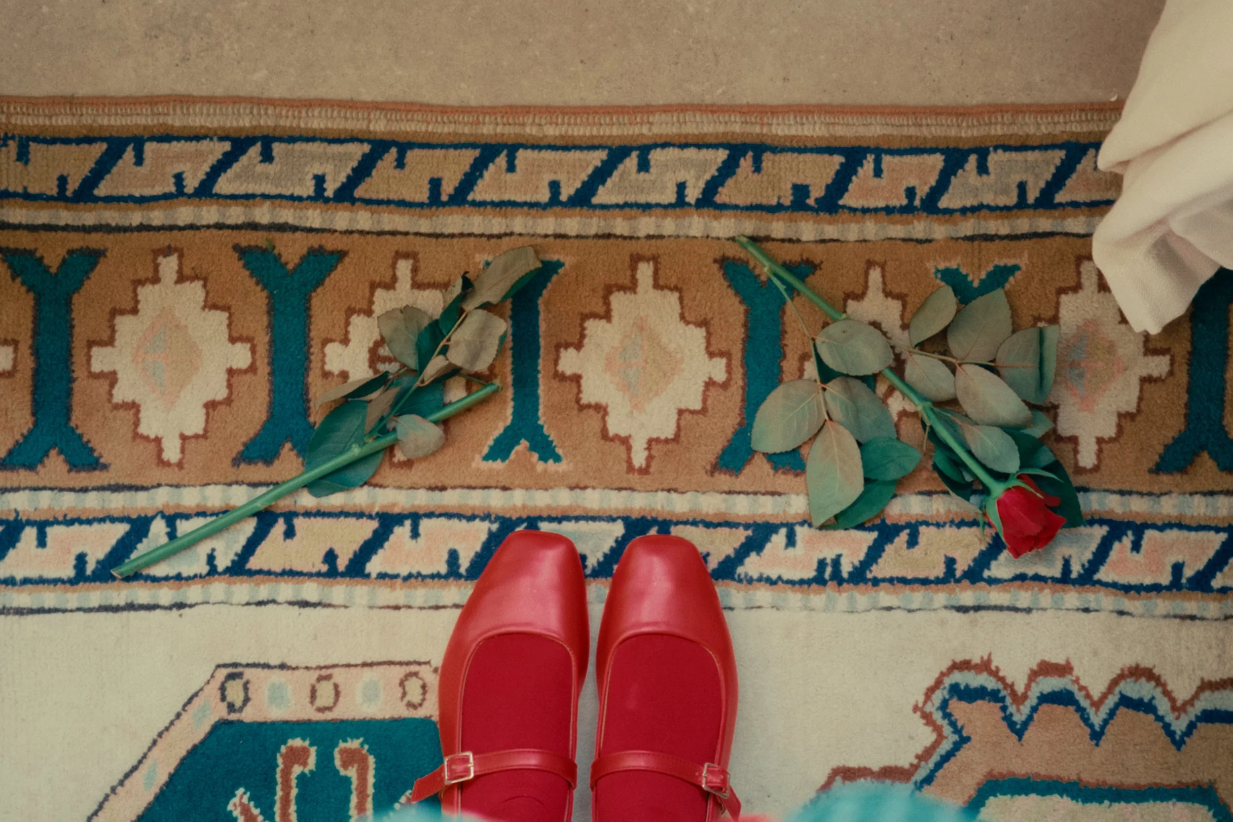 monomania_vera_aalbers_still1.jpg