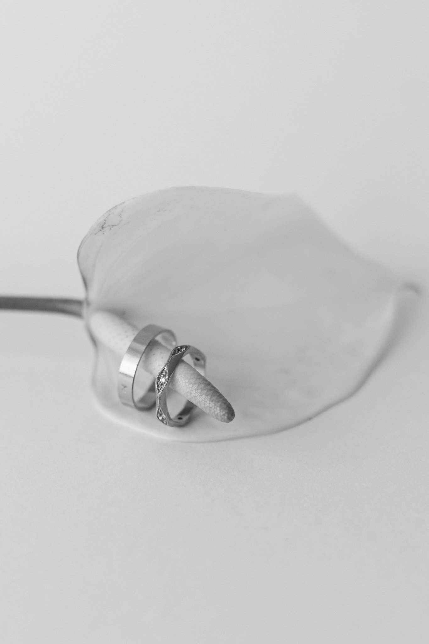 Photo des alliances minimaliste, éditoriale, épurée.