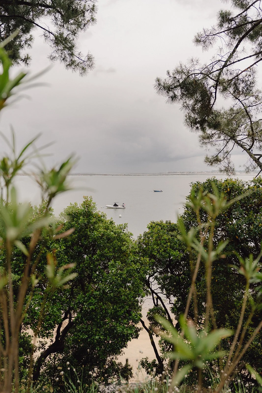 Vue d'une mer avec deux bateaux, encadrée par des arbres verts et des branches de pin, sous un ciel nuageux.