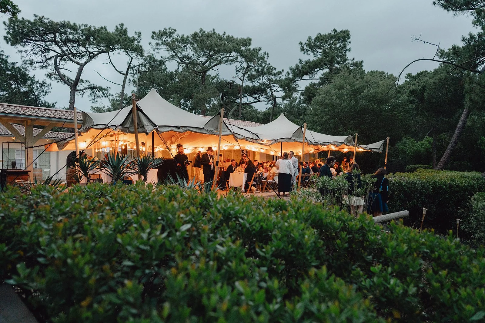 Une réception en plein air sous un grand chapiteau avec des invités assis à des tables, éclairée par des lumières chaleureuses, entourée d'arbres et de végétation.