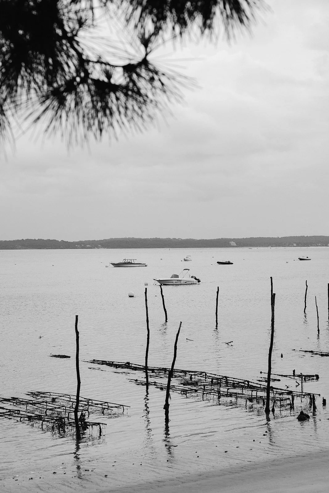 Scène de mer calme avec plusieurs bateaux, sur une des plages du Cap Ferret, vue sur la Dune du Pilat, un arbre en haut de l'image, ciel nuageux, image en noir et blanc.