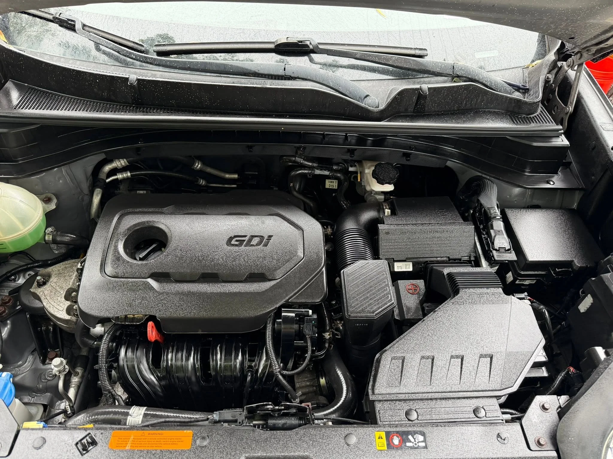 Kia 5.jpg