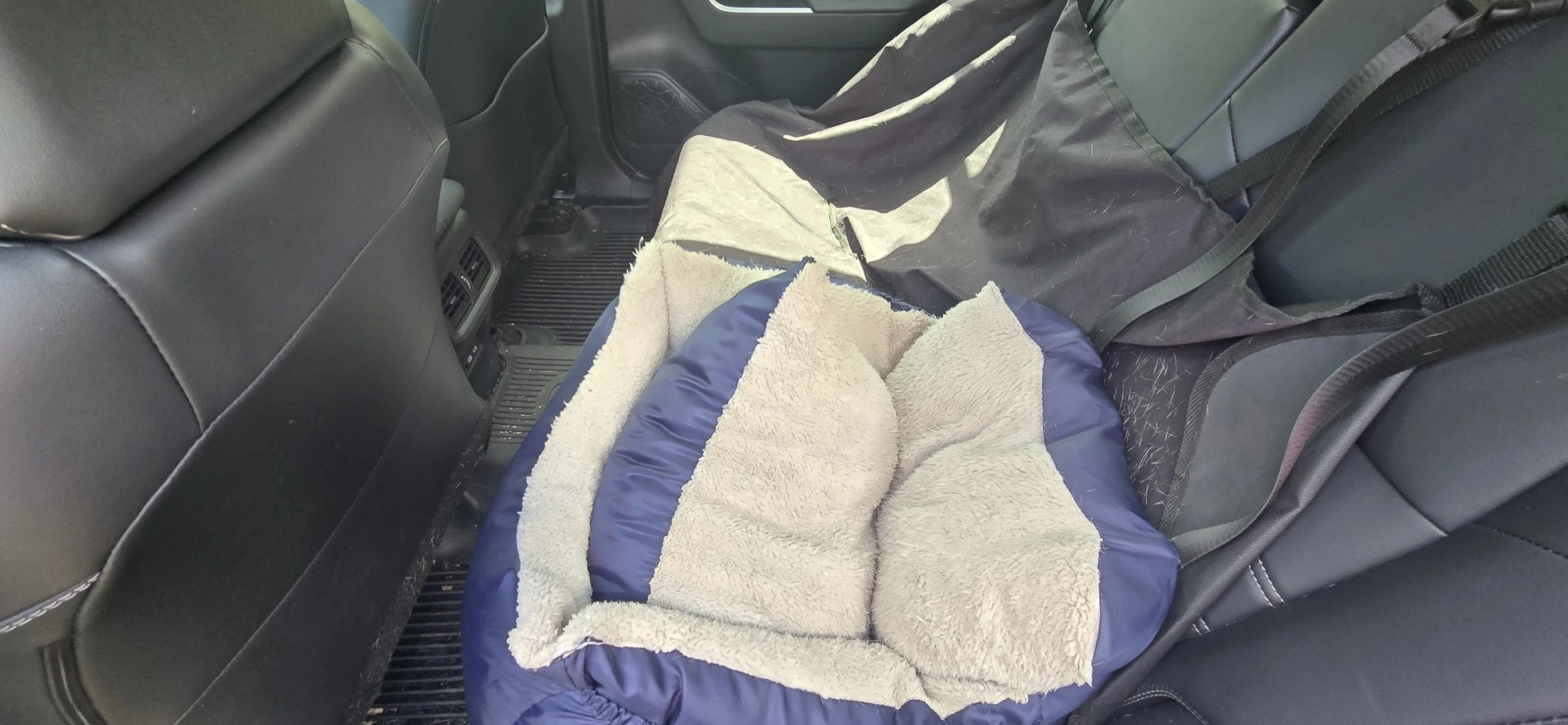 2025 - Rav4 - Mercado (4).jpg