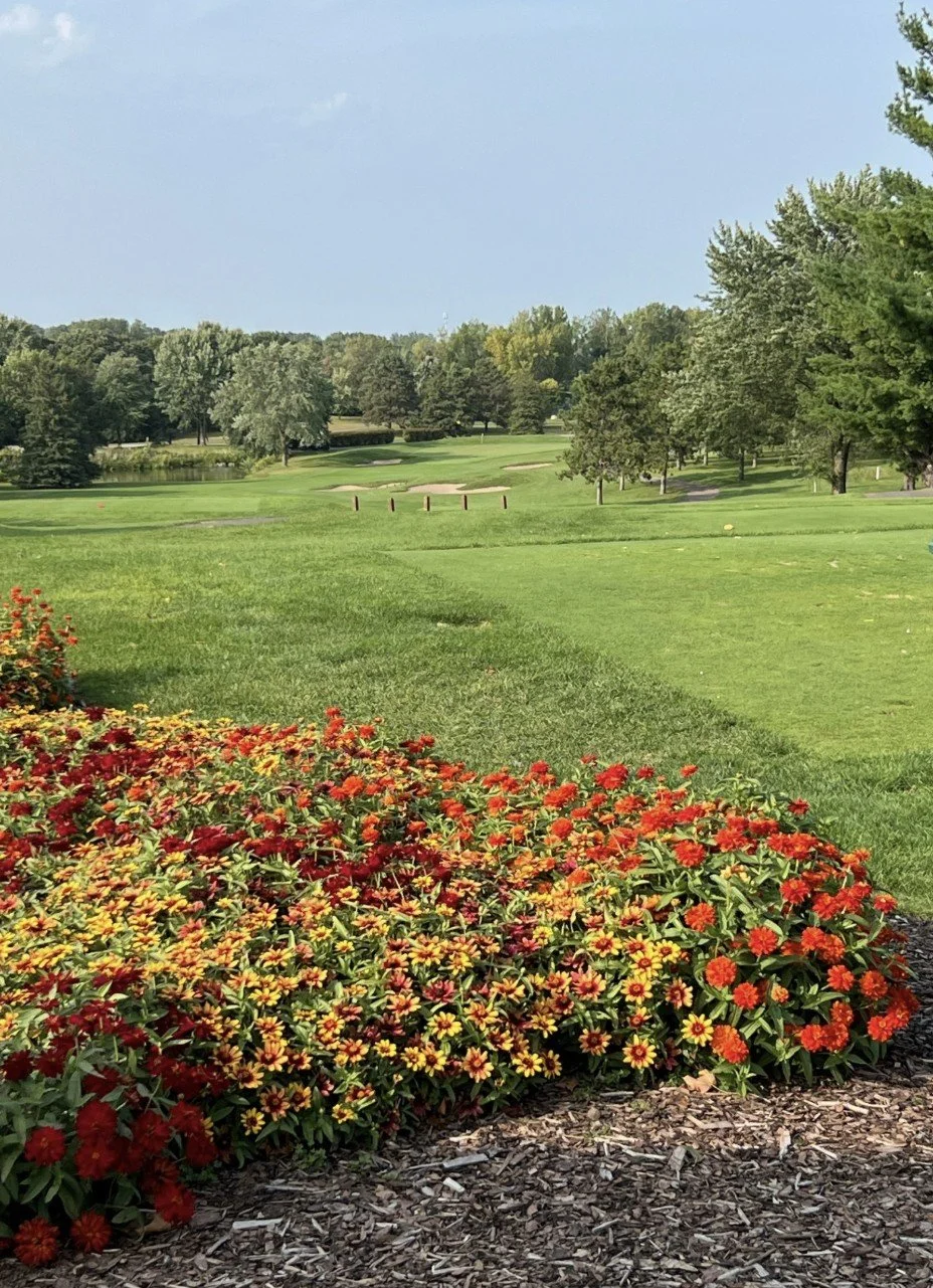 Golf course.jpg