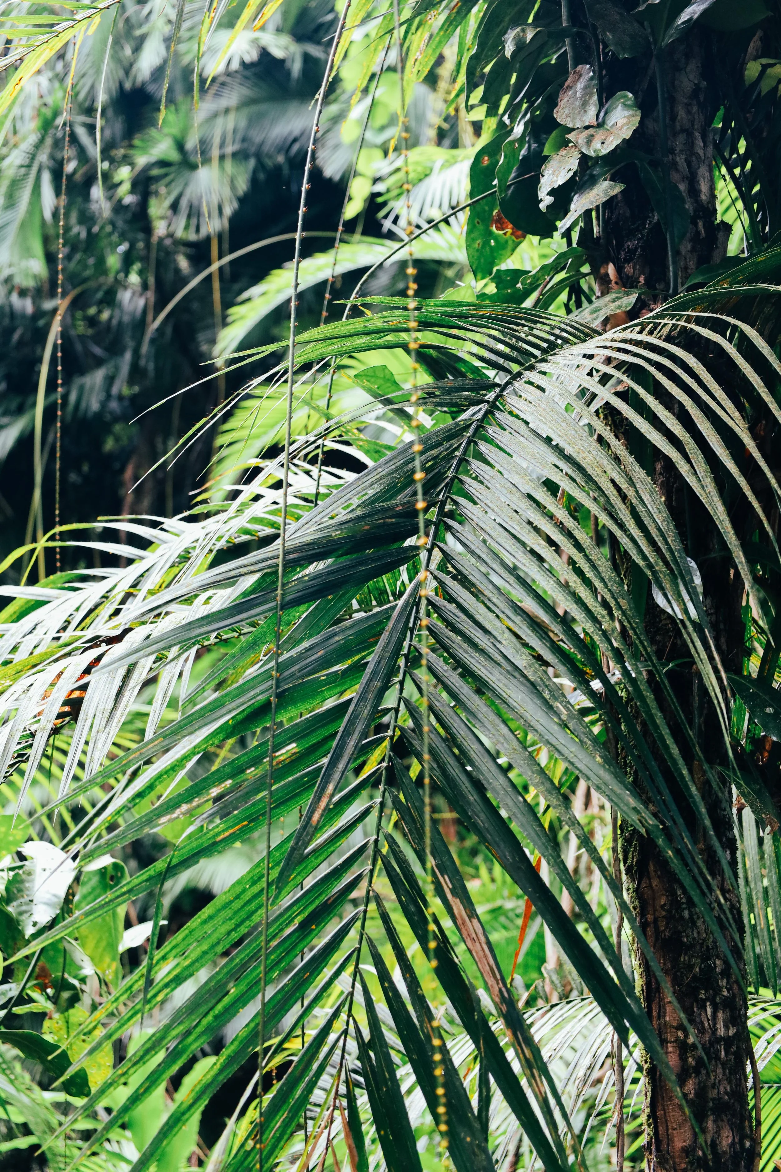 WhatsApp Image 2025-08-19 at 17.41.54.jpeg