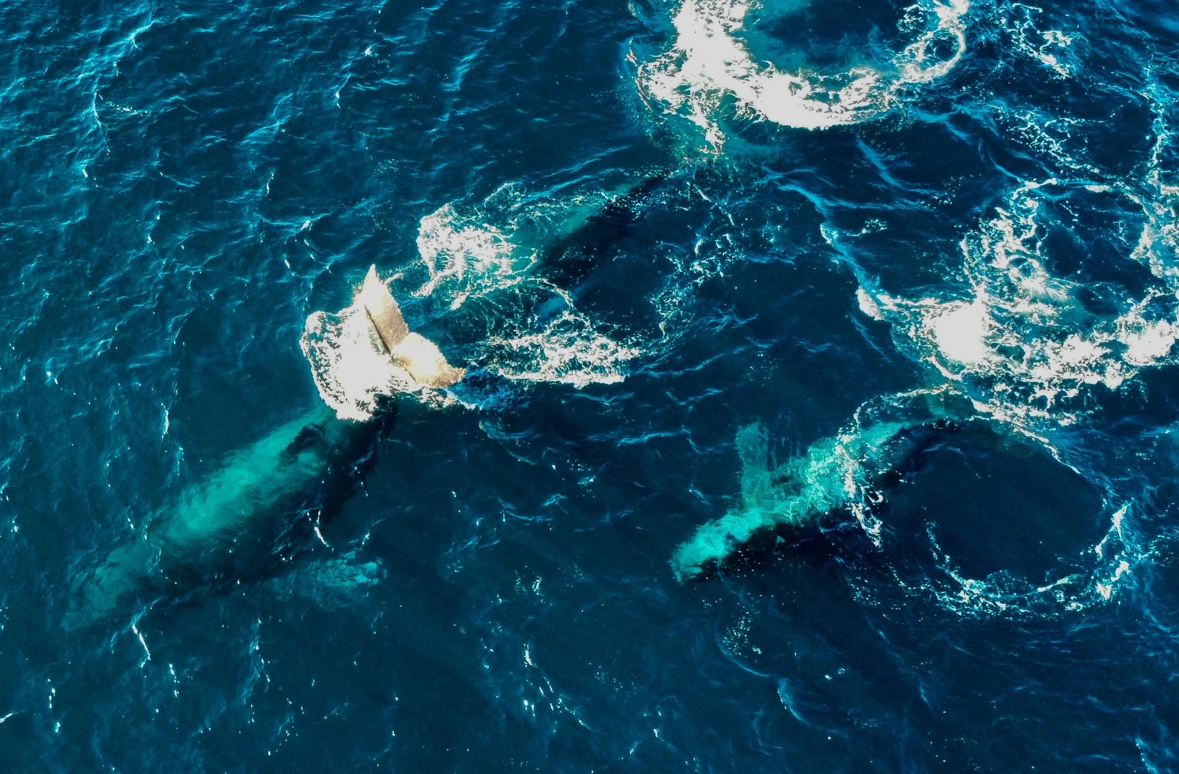 WhatsApp Image 2025-08-19 at 17.41.49-2.jpeg