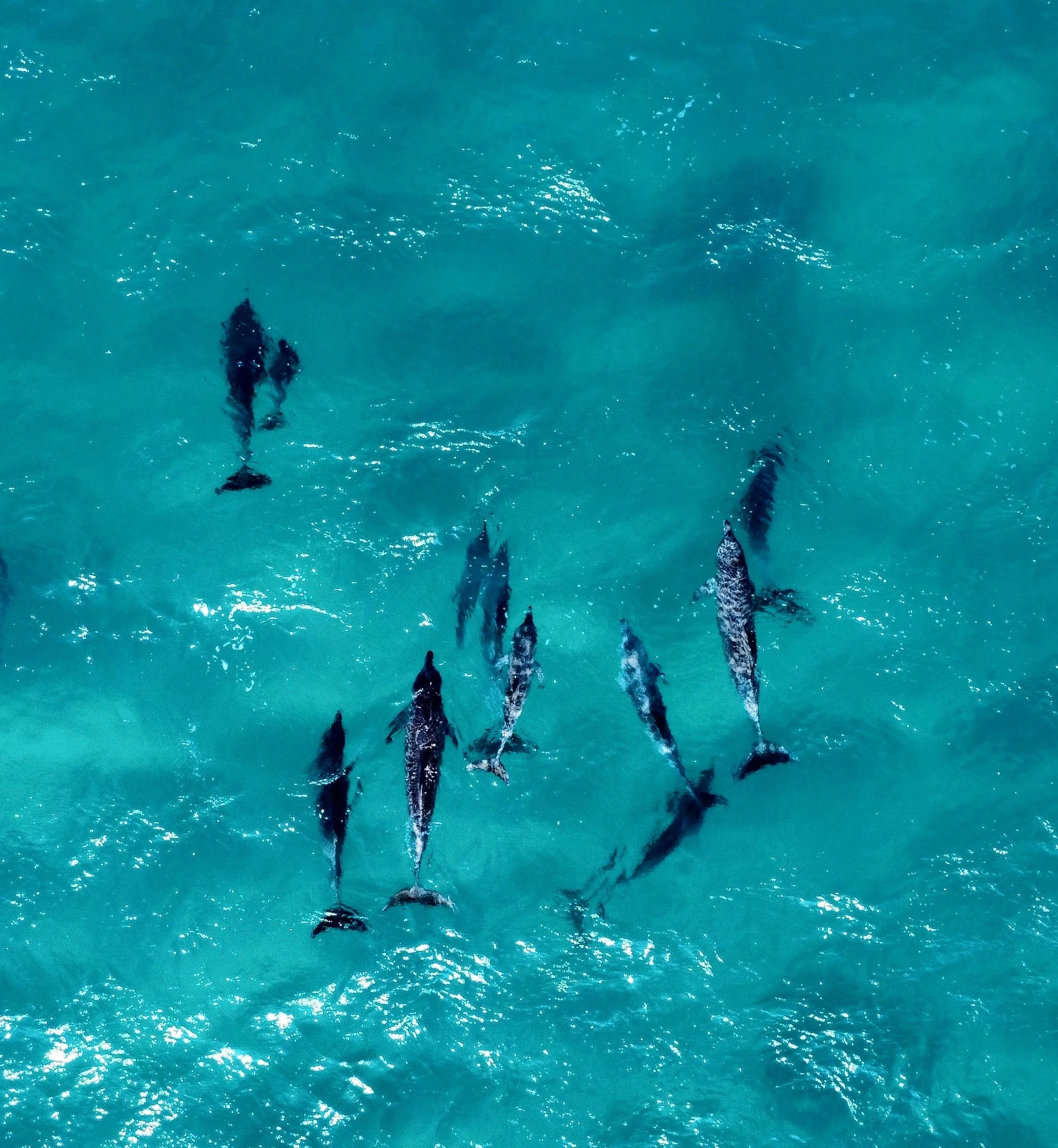 WhatsApp Image 2025-08-19 at 17.41.49.jpeg