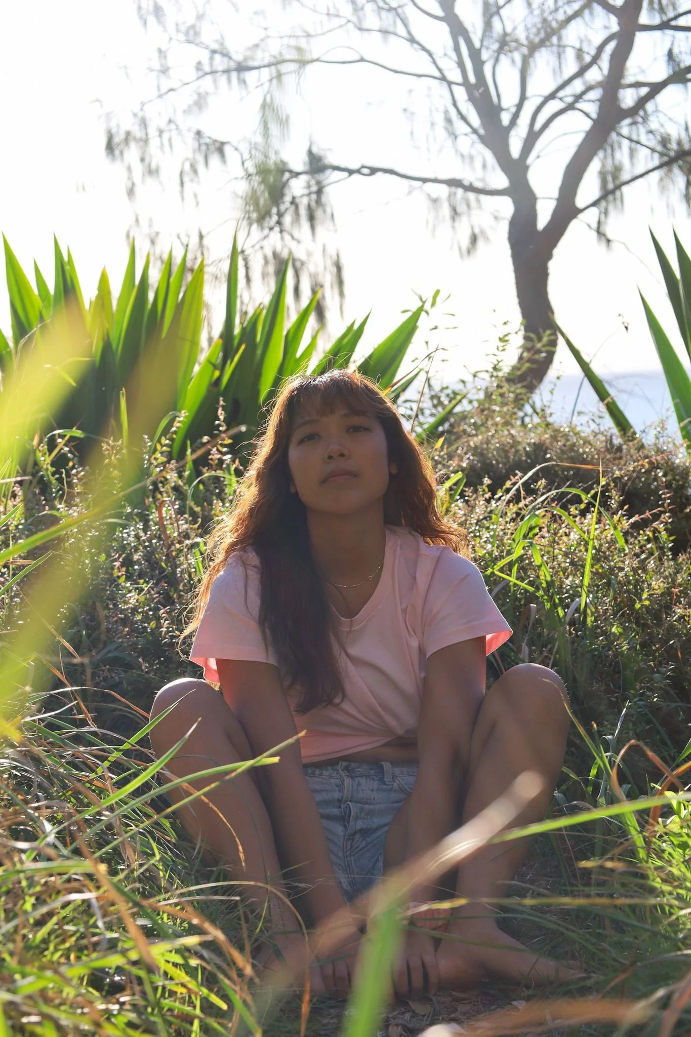 1. The traveler tee grew from quiet mornings on an australian island , where mist rolled through the hills and whales moved like shadows just offshore. 