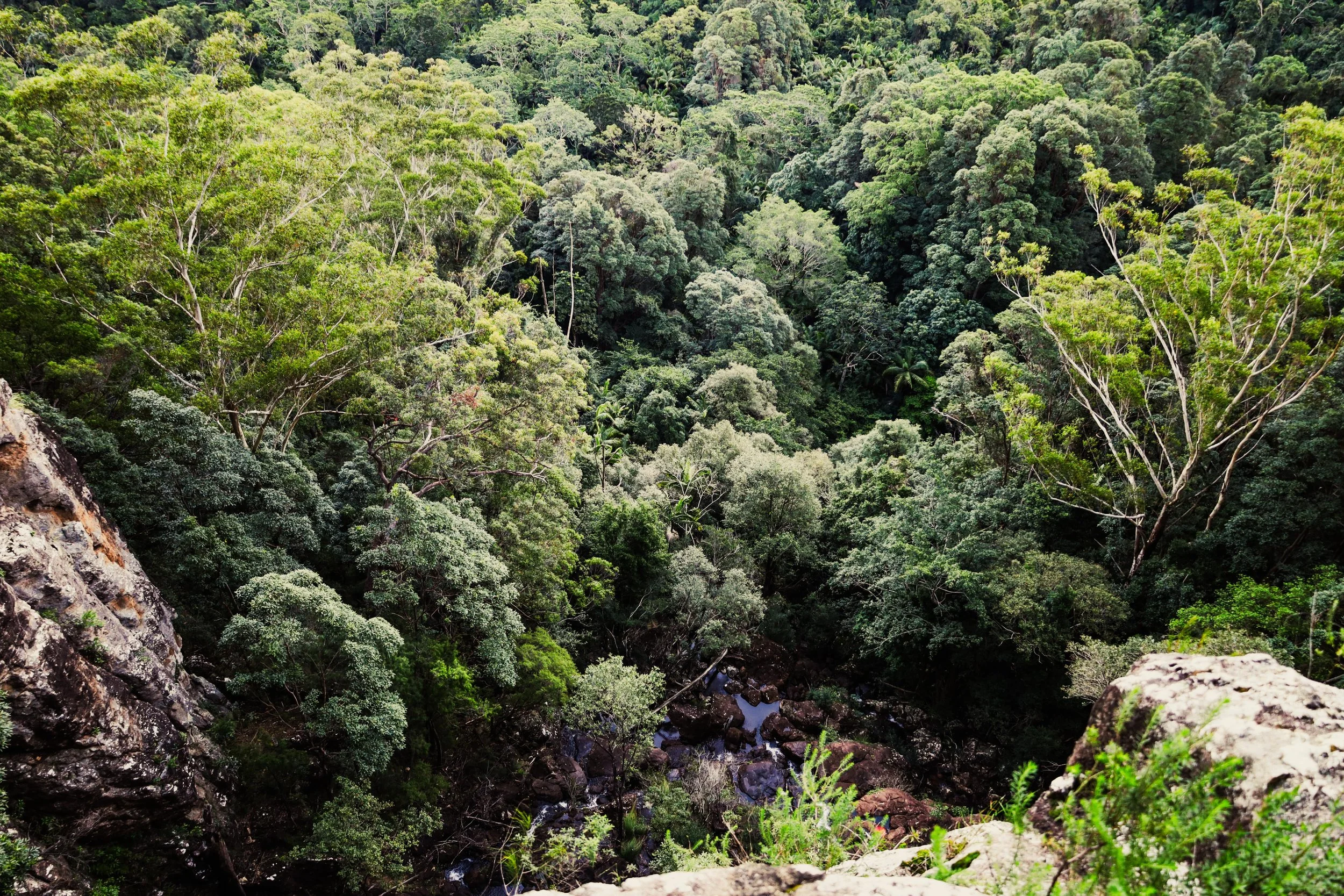 2.We shot this deep in the green, where sweat drips slow and time moves like vines.