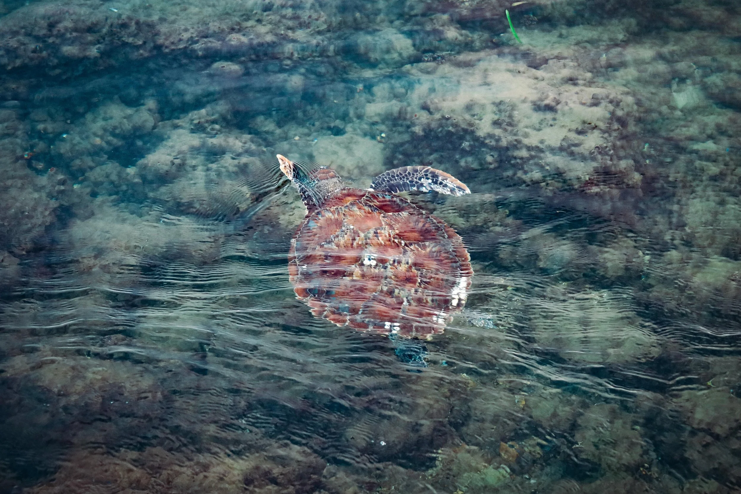 WhatsApp Image 2025-08-19 at 17.41.51.jpeg