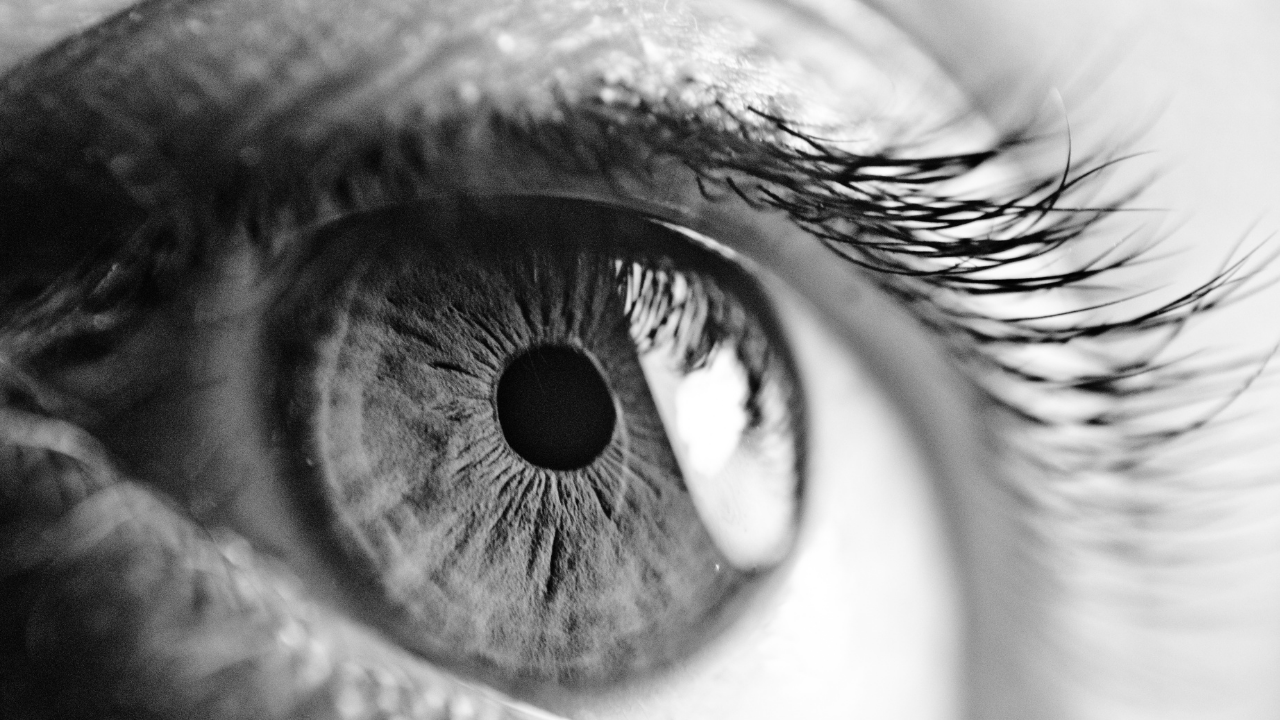 Nahaufnahme eines menschlichen Auges in Schwarz-Weiß, Detailaufnahme der Iris und Wimpern. | mls lume
