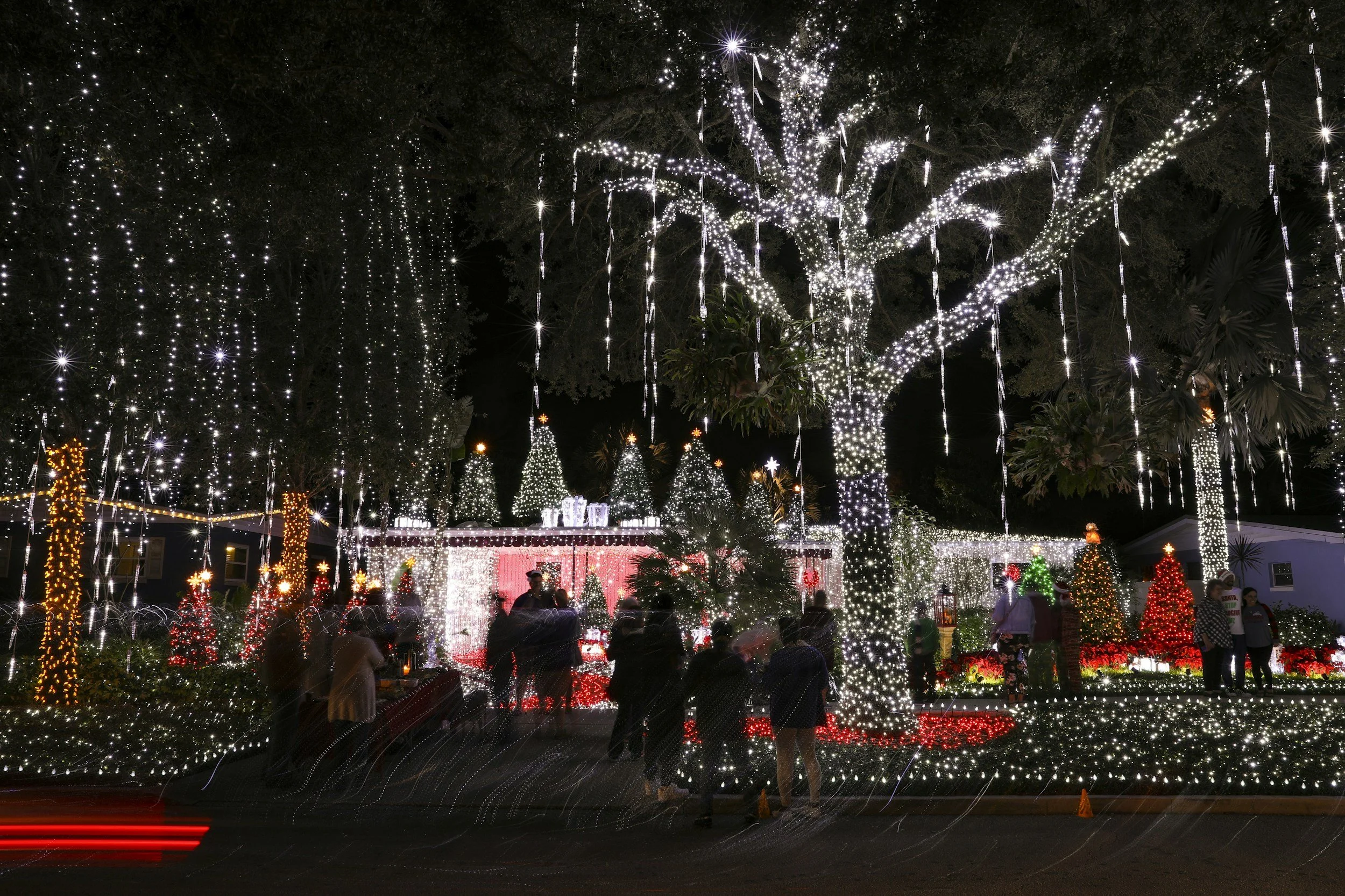 Bright Ideas: How to Recycle Your Christmas Lights This Holiday Season