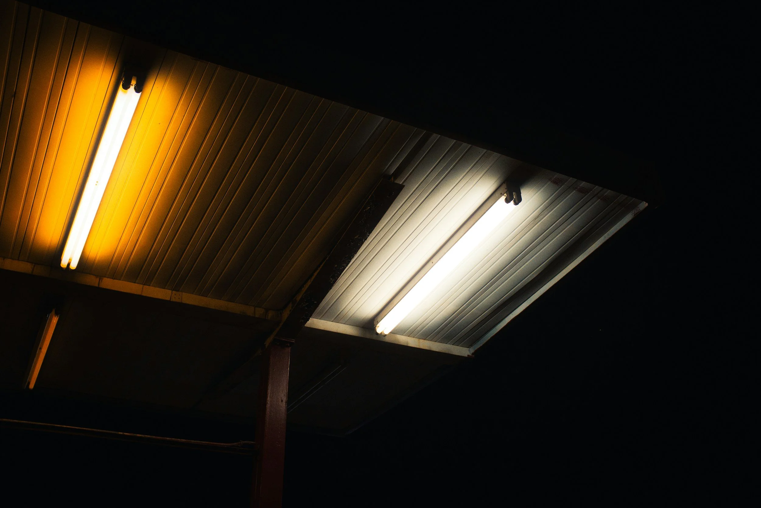 Eco Light Rems Ecolights | Recycle Responsibly Today