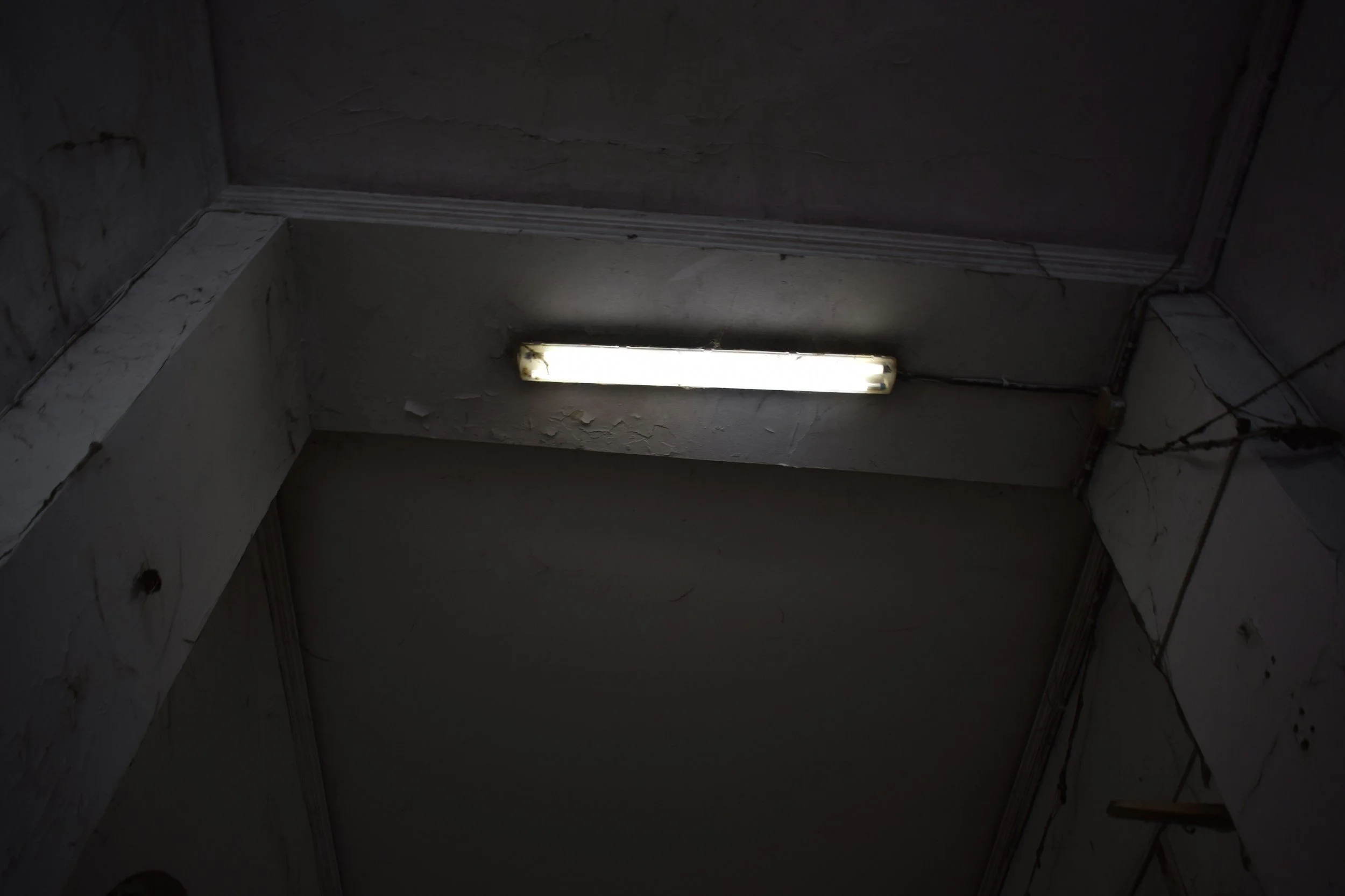 Where to Recycle Fluorescent Tubes and LED Bulbs in Washington and Oregon (Without Throwing Them in the Trash)