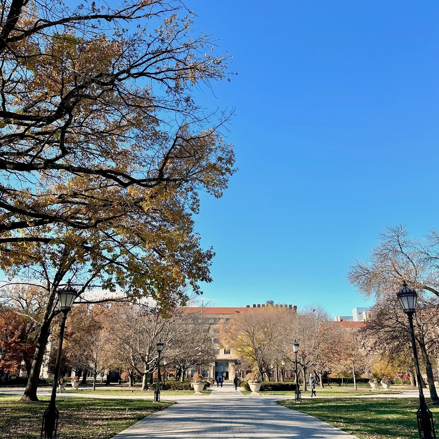 There&rsquo;s something healing about walking with a friend &mdash; the steady pace, the fresh air, the kind of conversation that unfolds only when you&rsquo;re side by side. Sometimes connection is as simple as taking the next step together. 🌿
#Mot