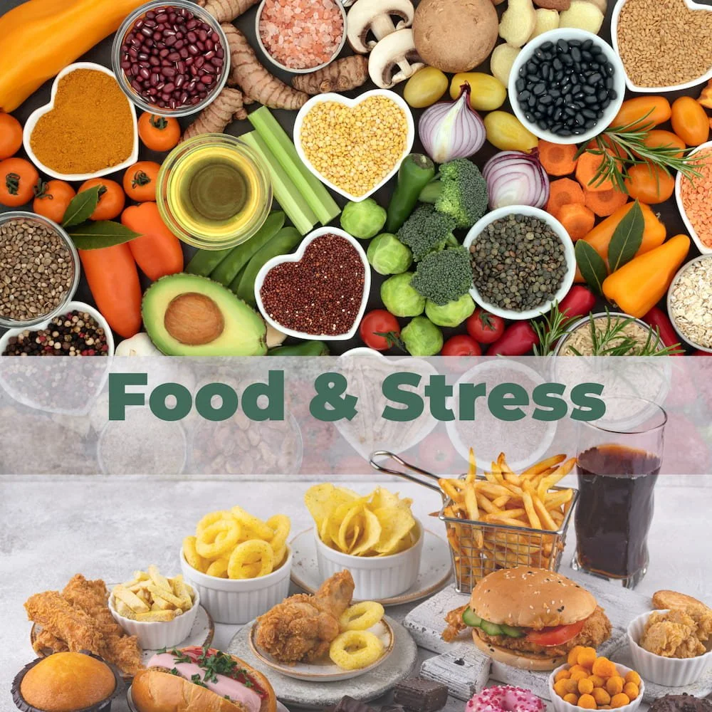 Lessons from a Coaching Session | Nutrition and stress levels – can food really help?