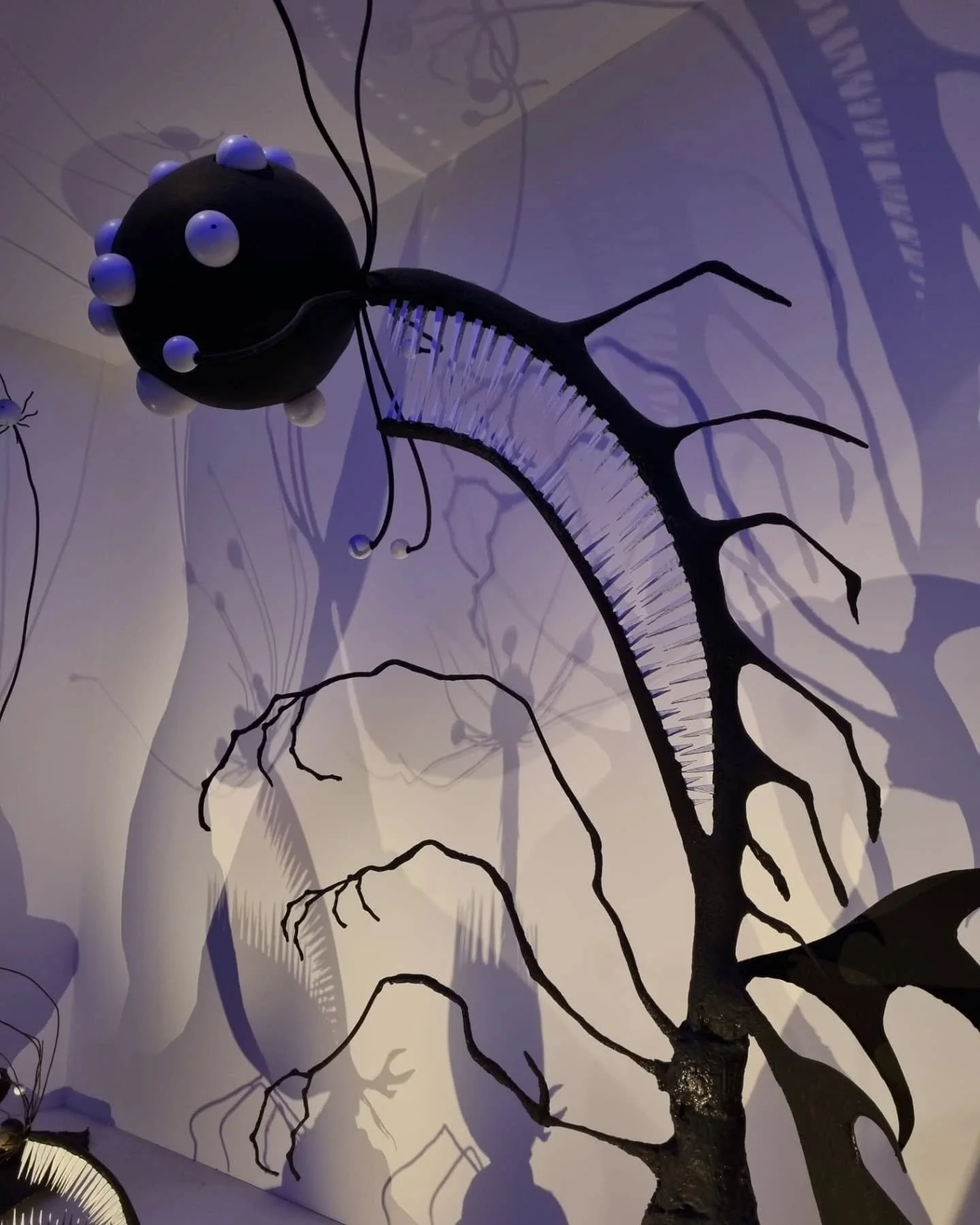 One week, two exhibitions 👀🏎